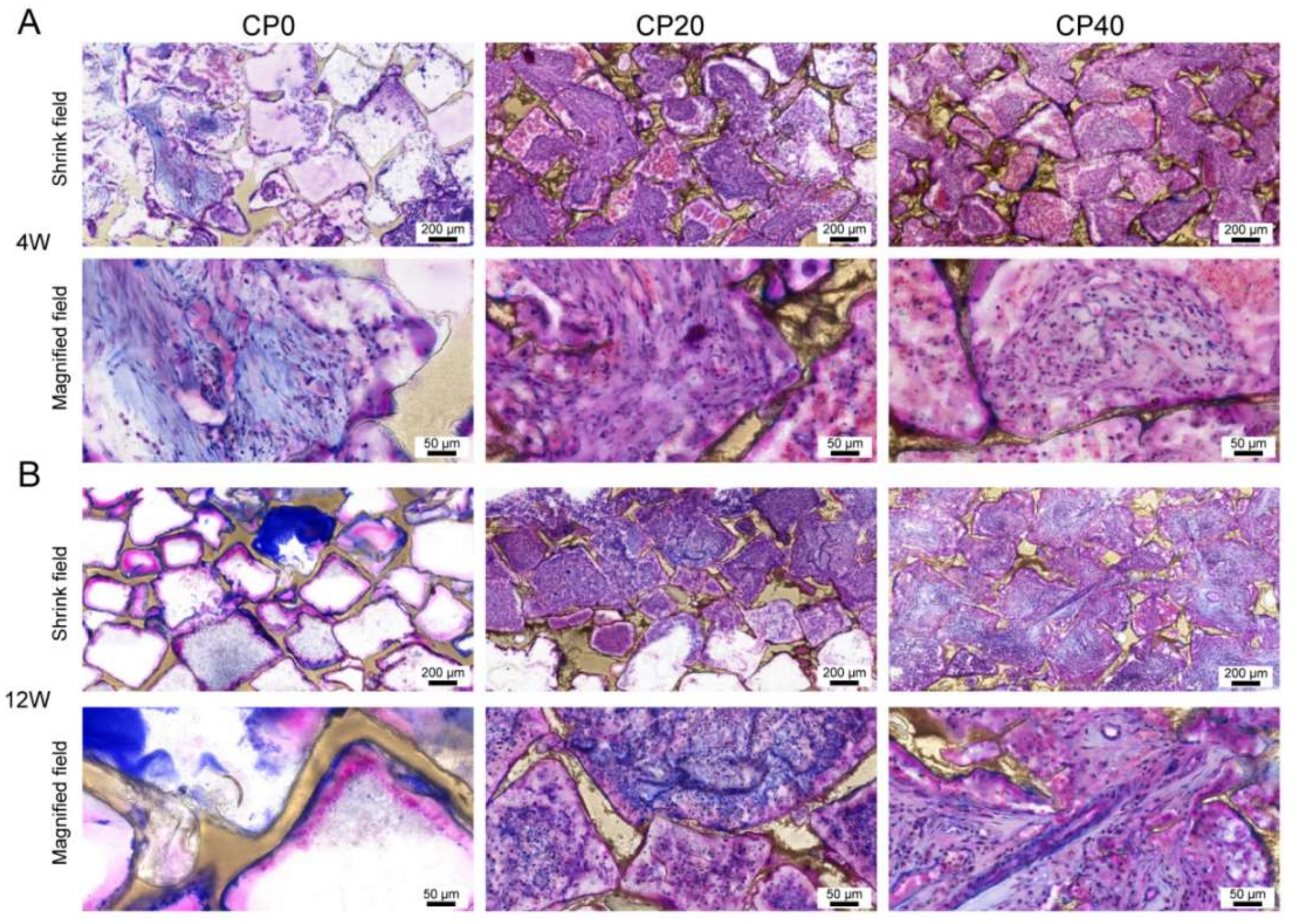 Materials 15 04410 g009