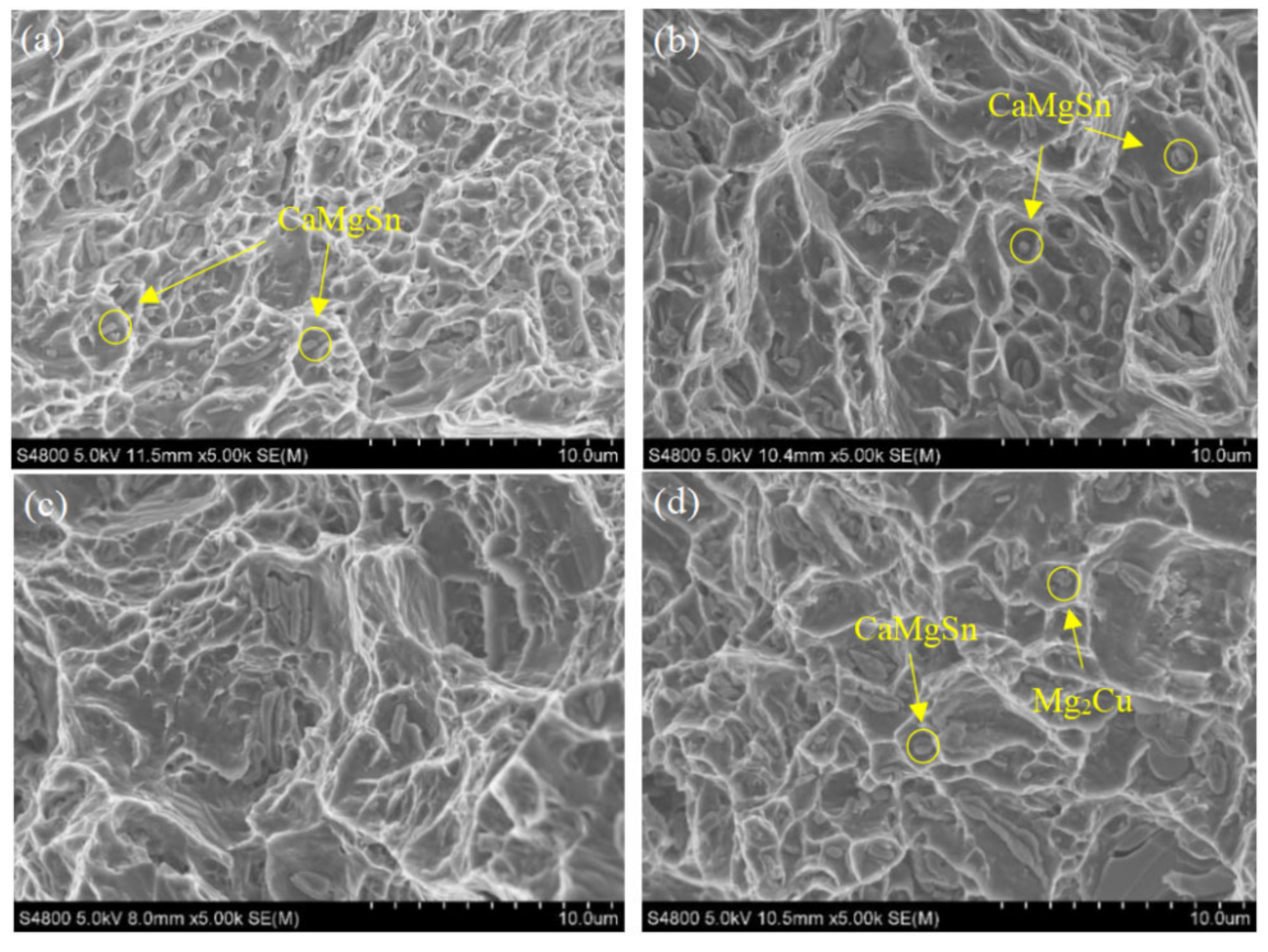 Materials 15 04438 g009