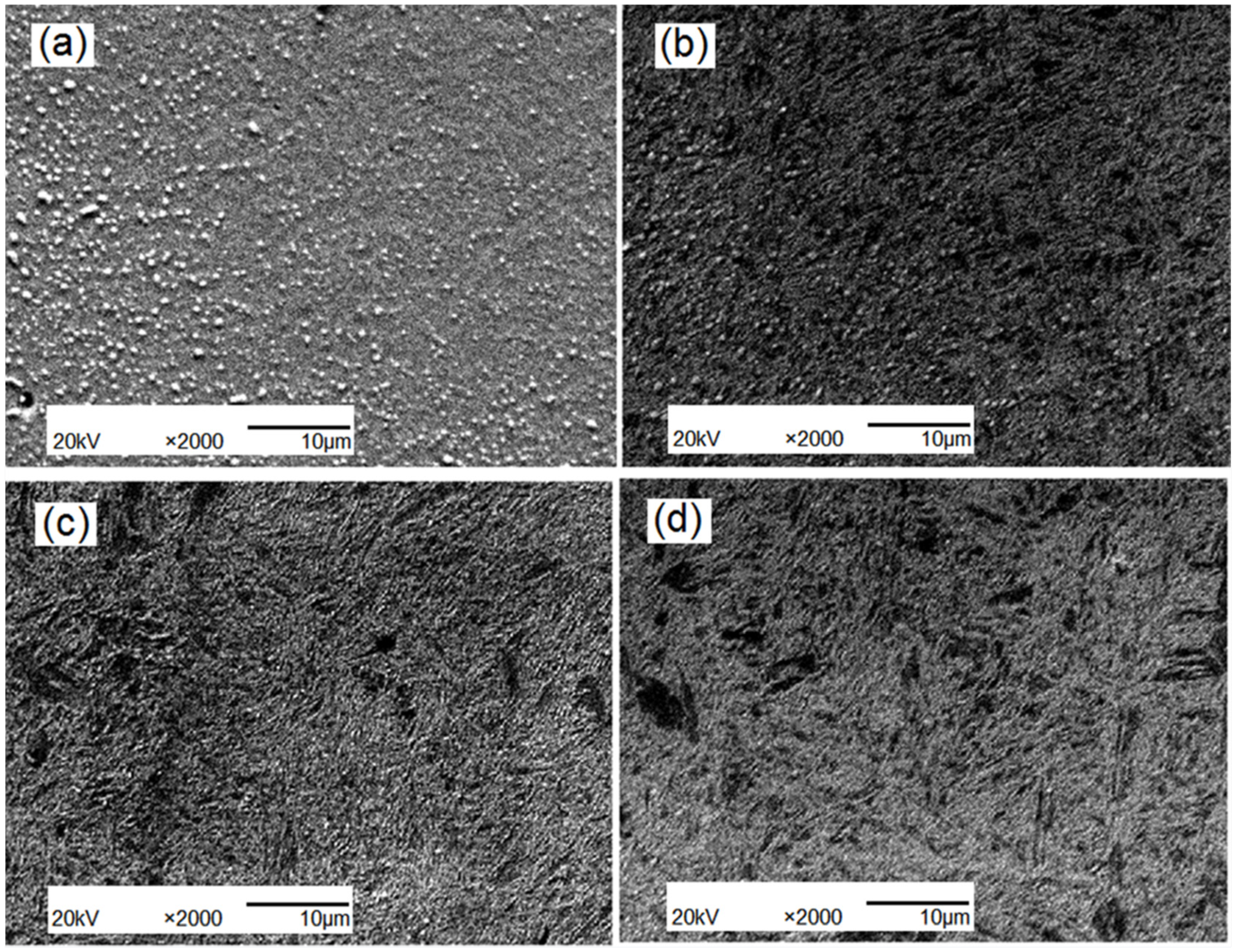 Materials 15 04448 g008