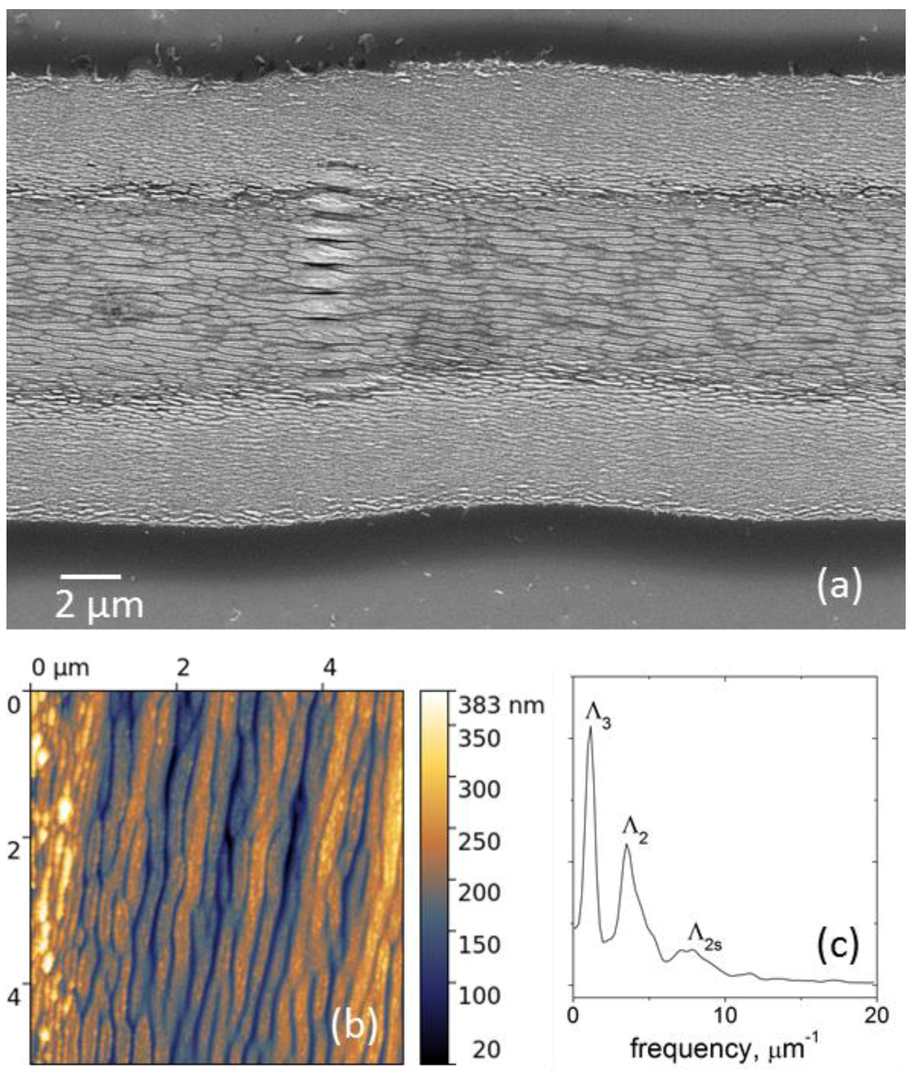 Materials 15 04506 g008
