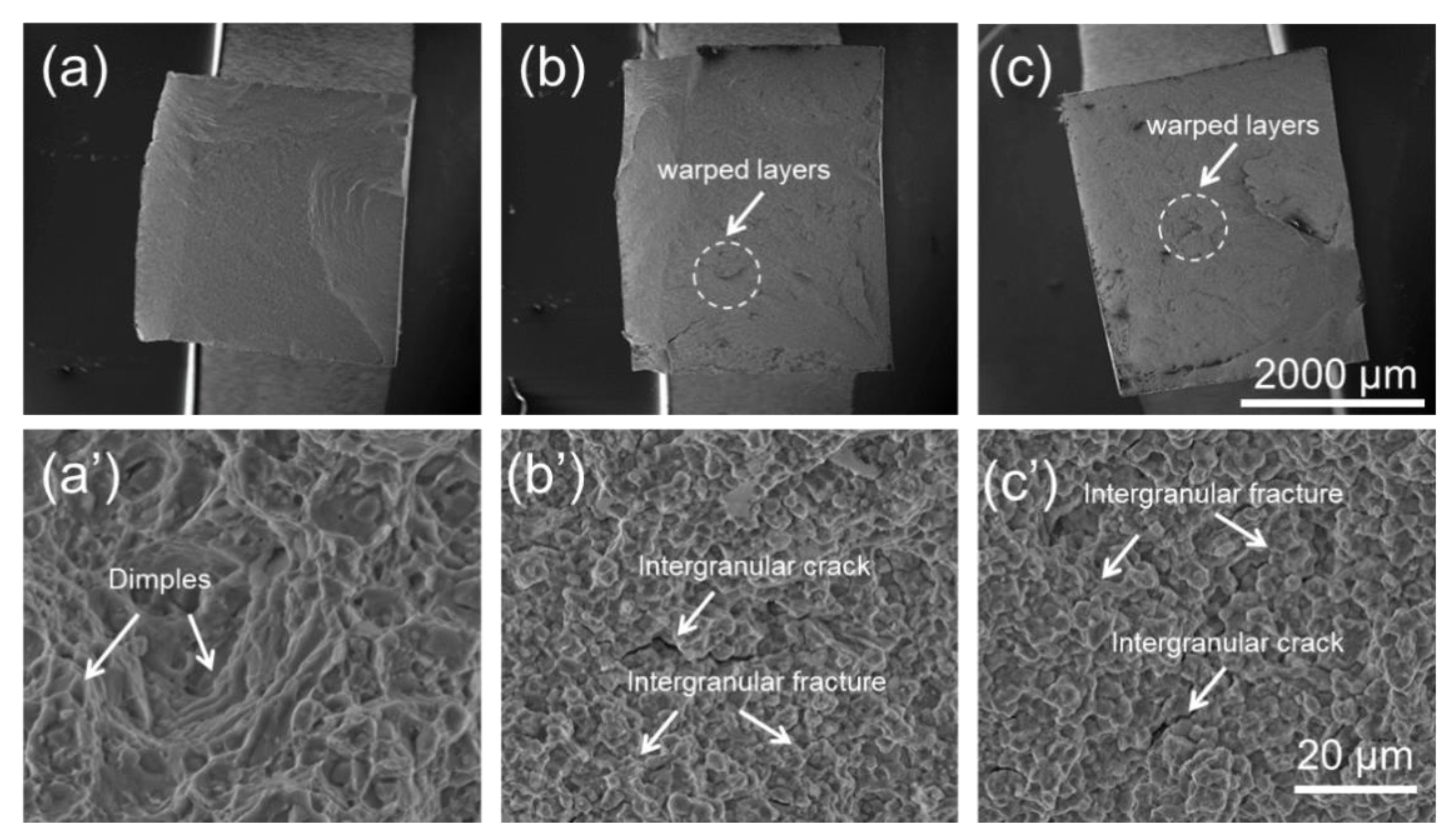 Materials 15 04524 g010