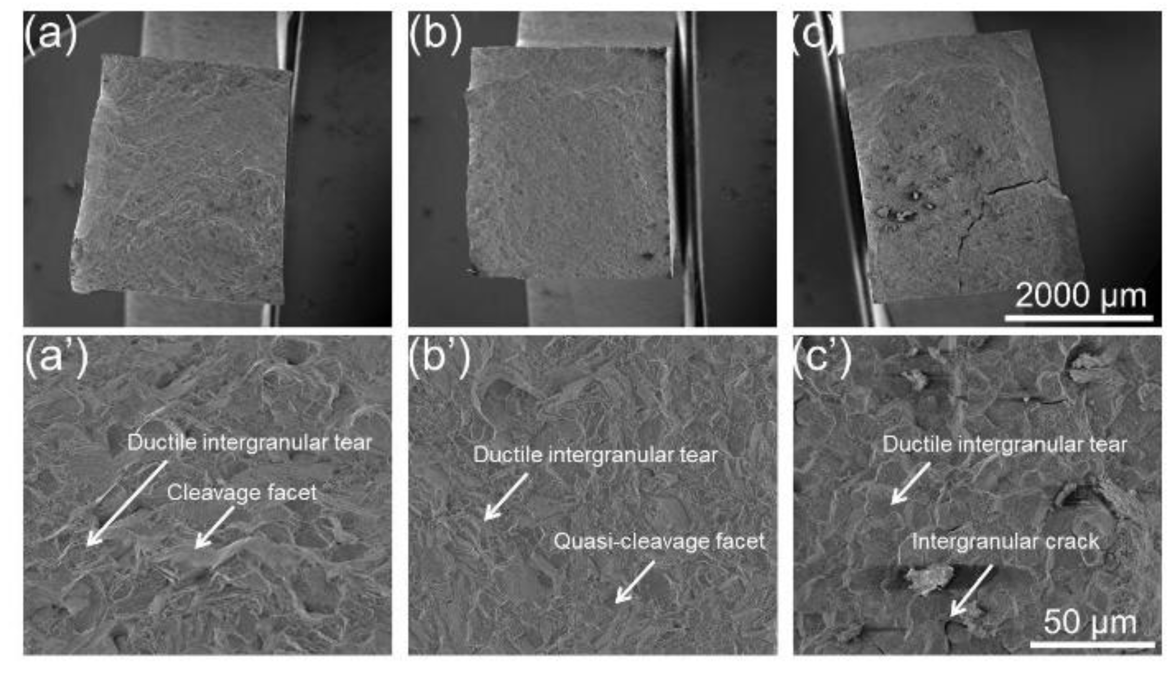 Materials 15 04524 g011