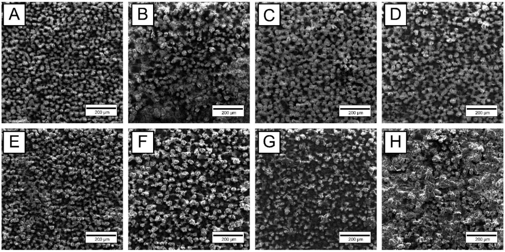 Materials 15 04535 g003