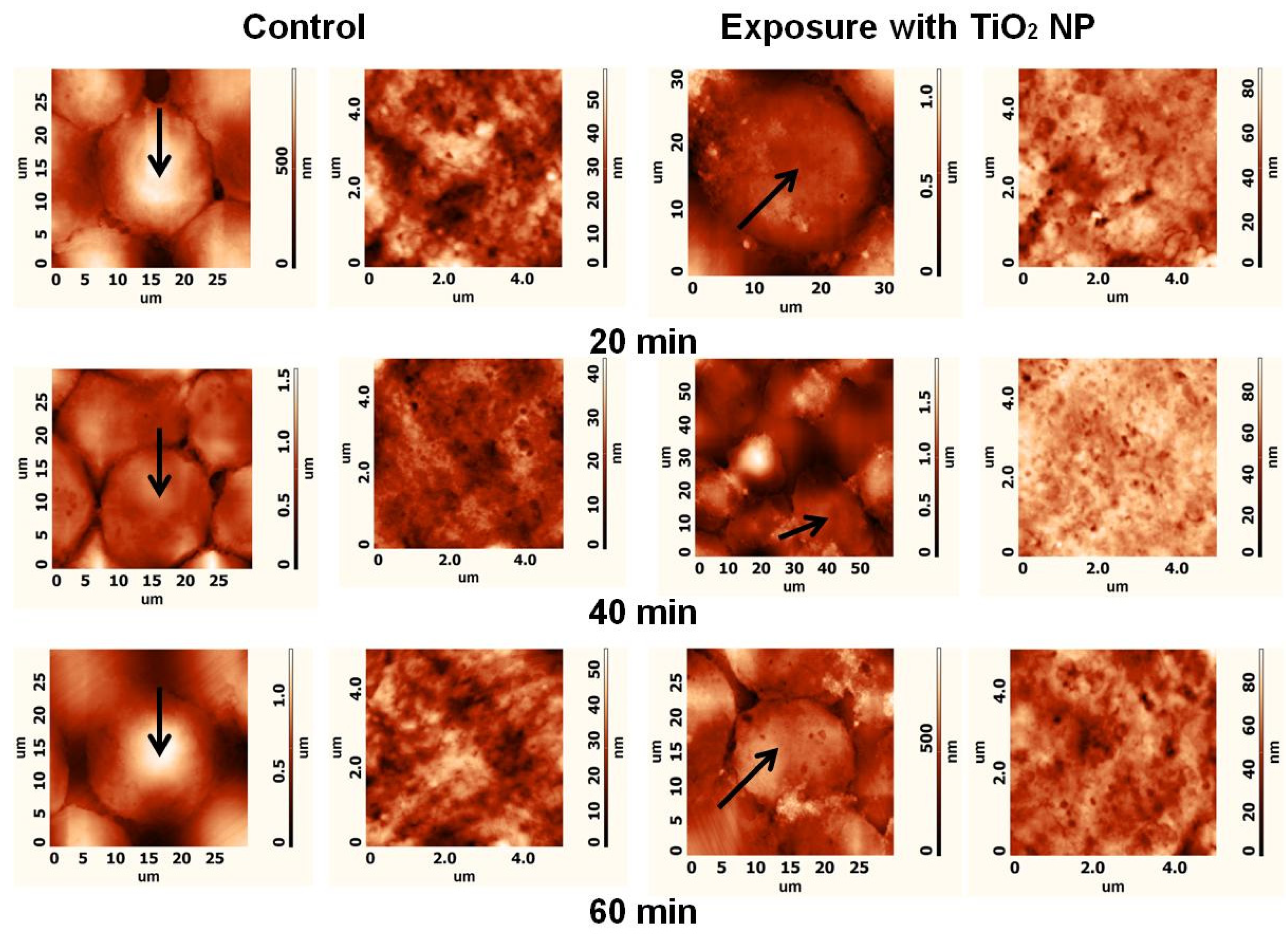 Materials 15 04570 g006