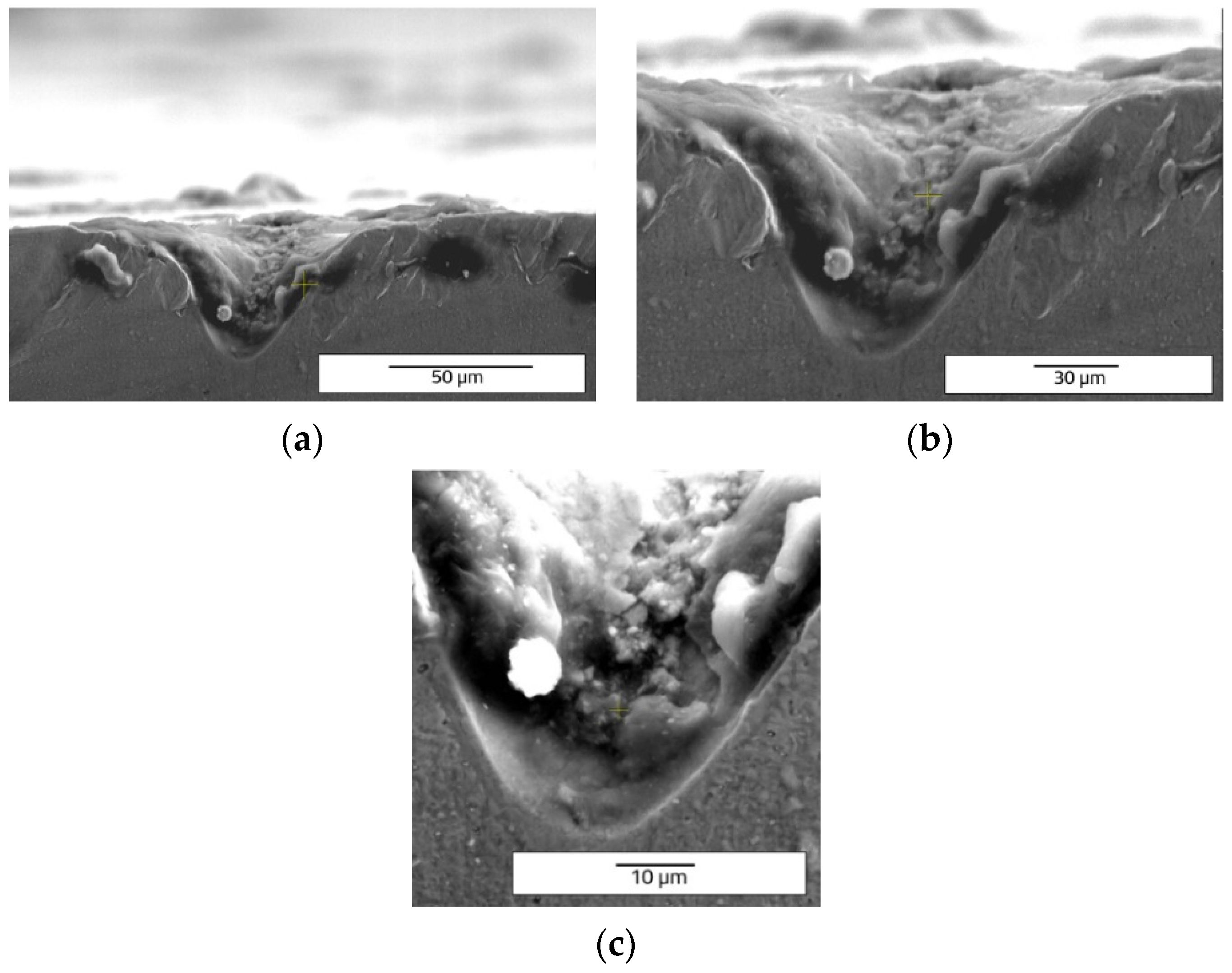 Materials 15 04580 g012