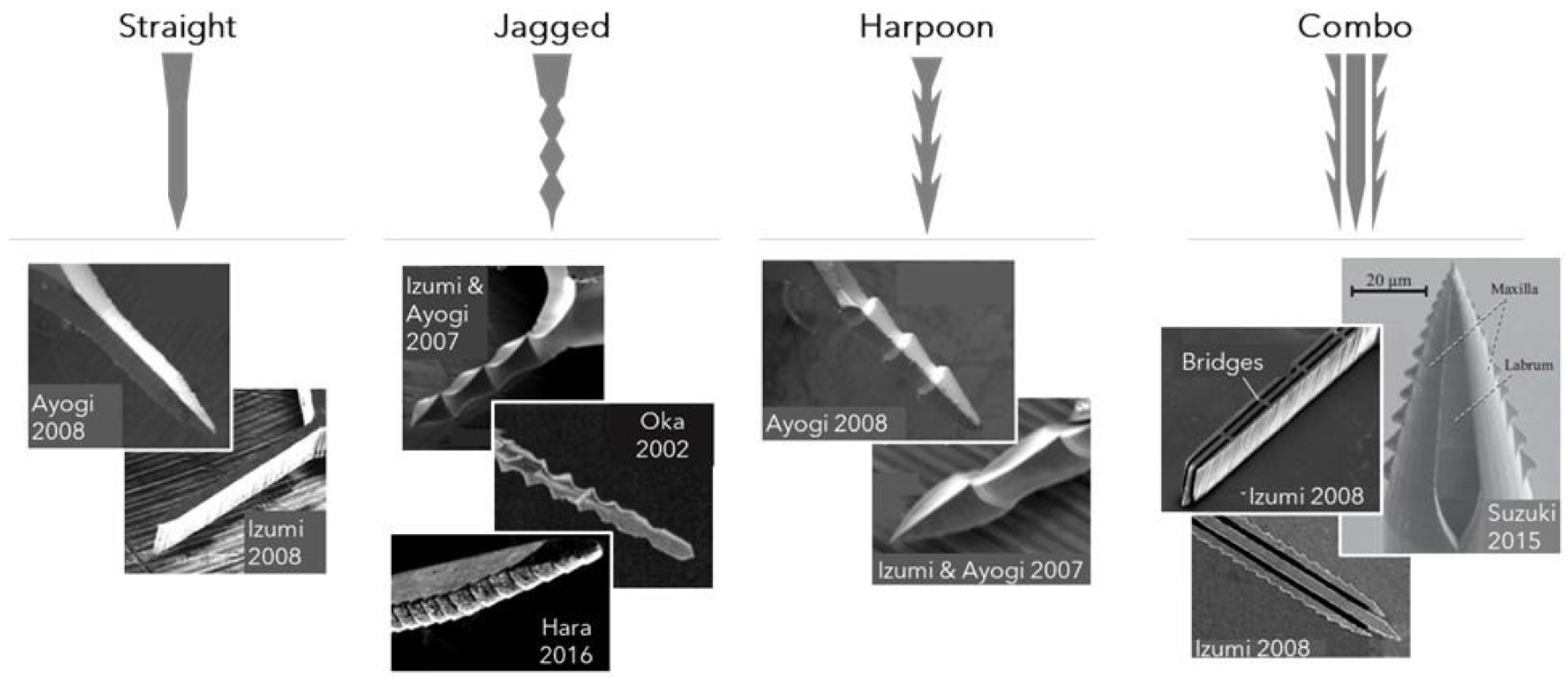 Materials 15 04587 g003