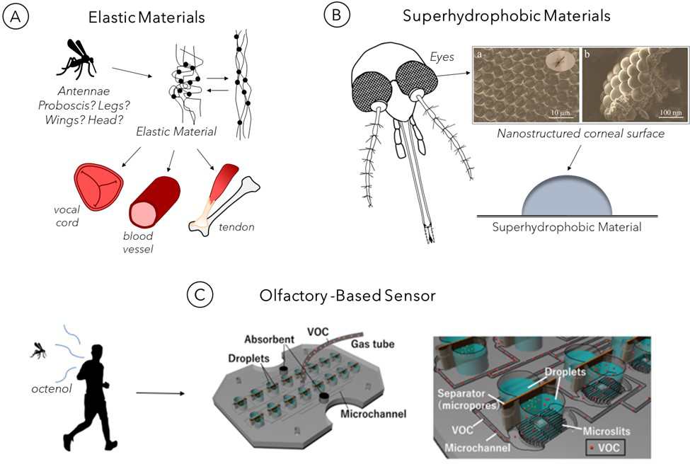 Materials 15 04587 g006