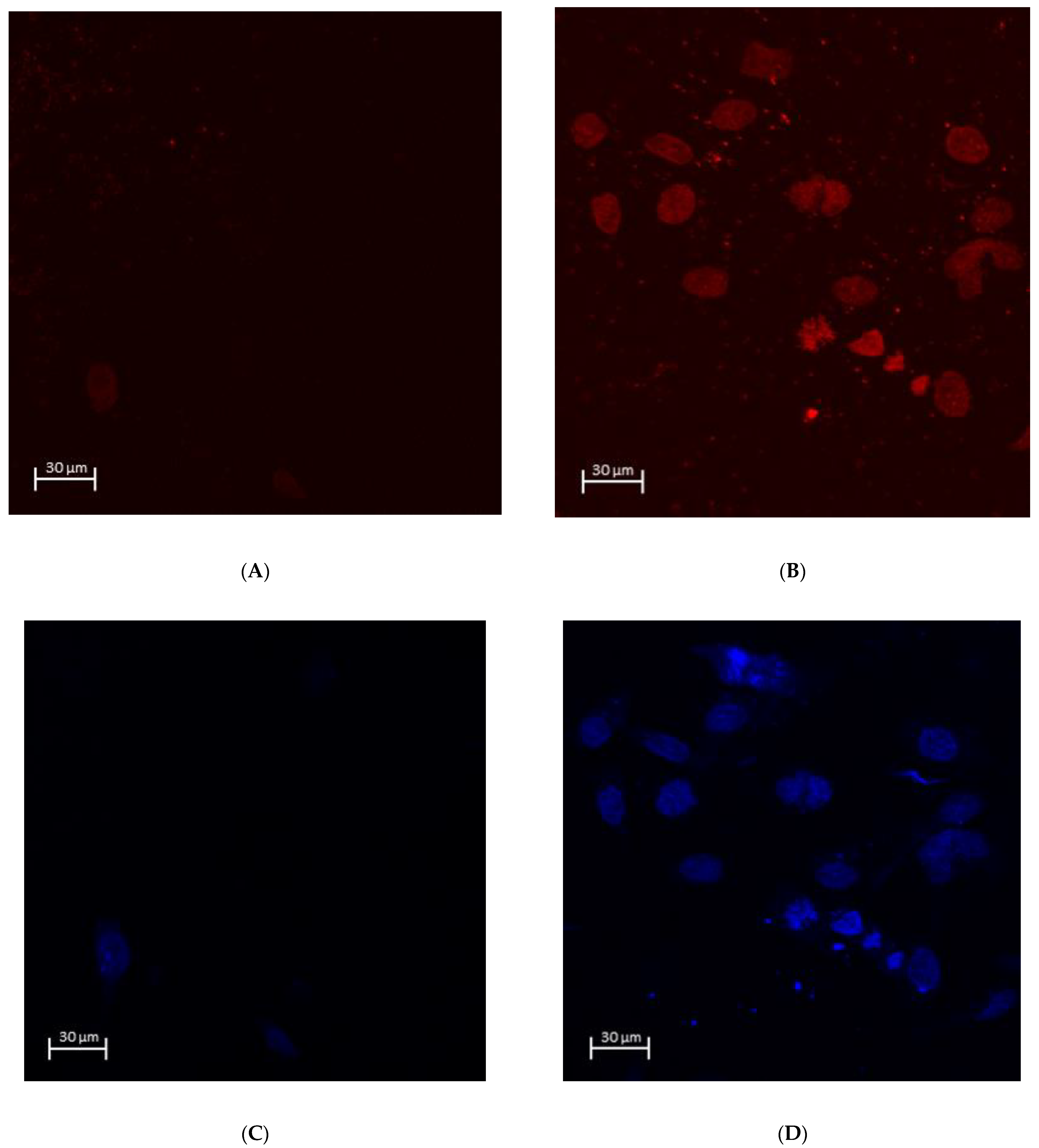 Materials 15 04597 g006a