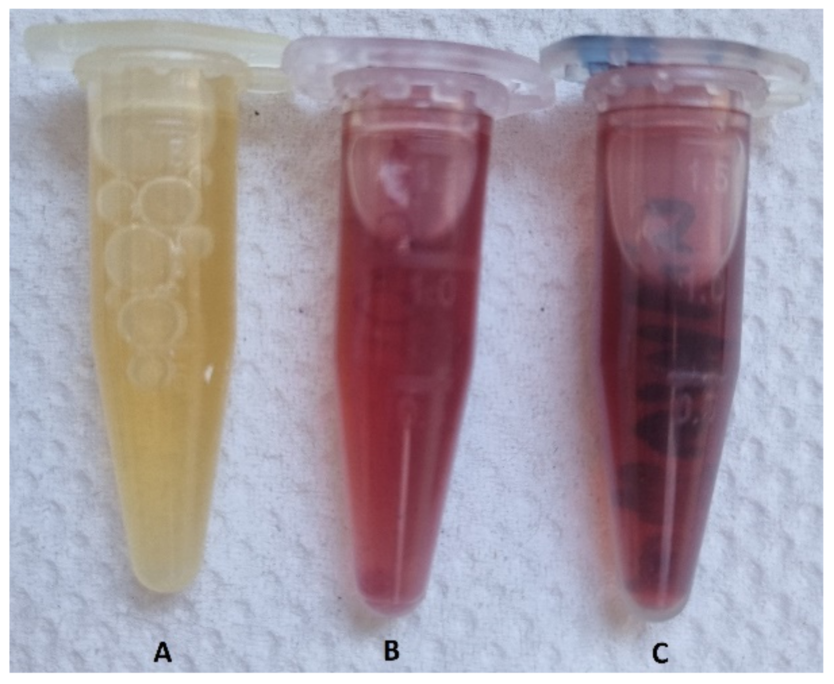 Materials 15 04615 g001