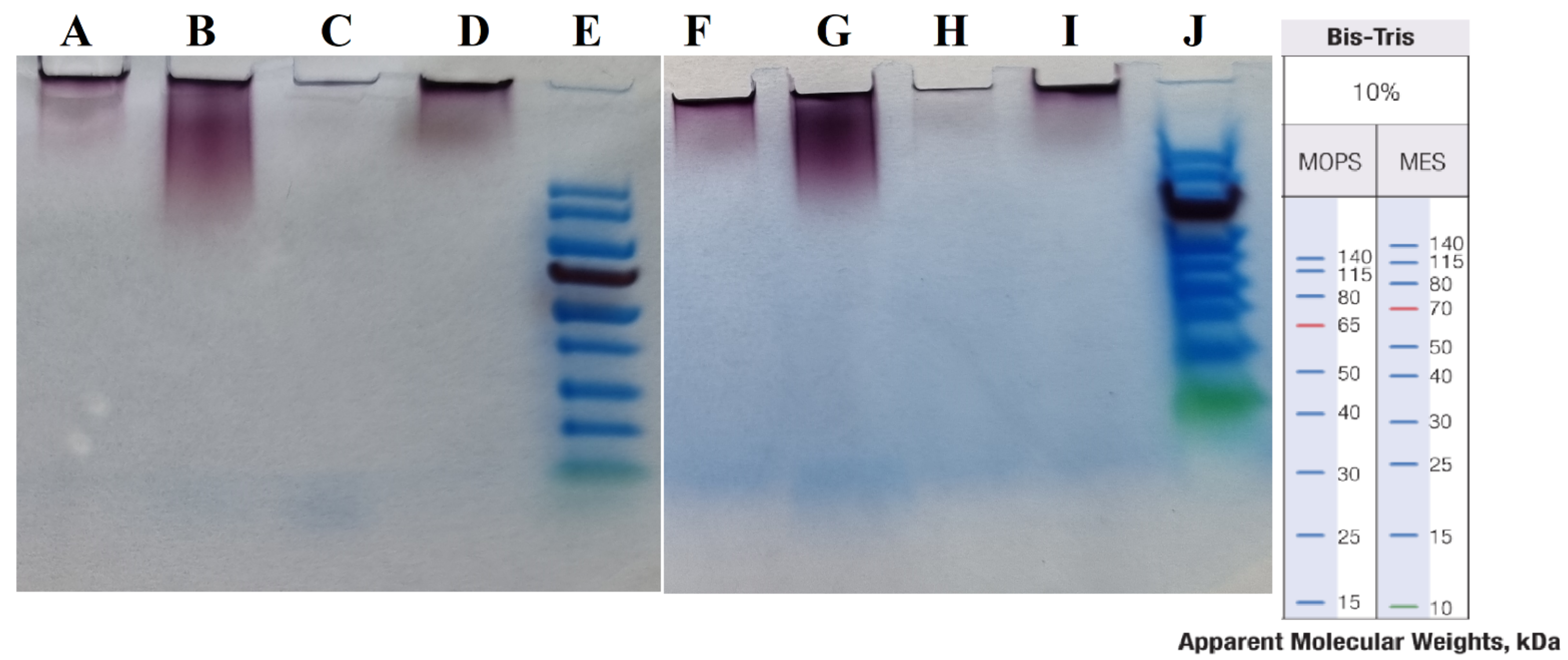 Materials 15 04615 g009