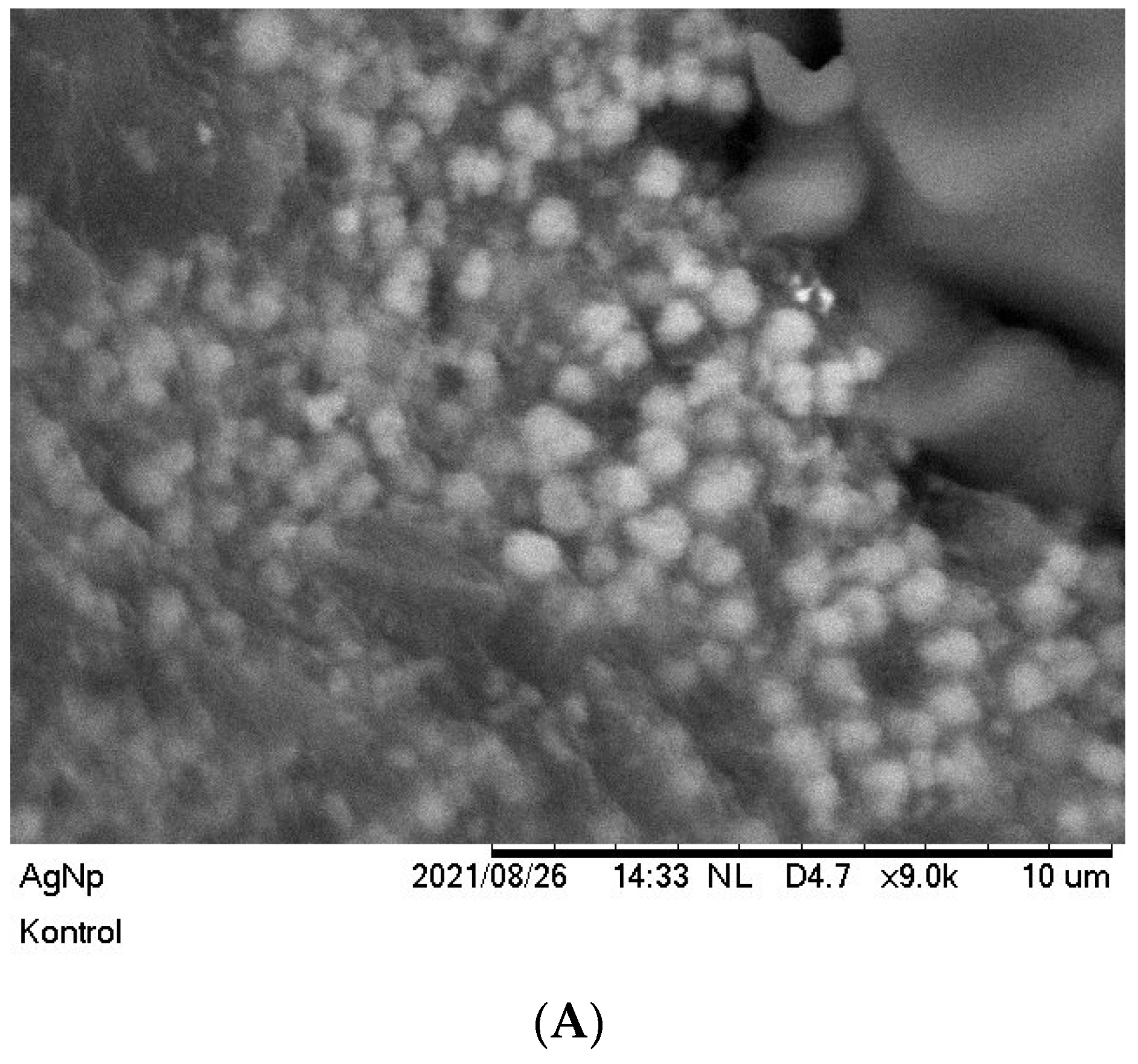 Materials 15 04641 g005a