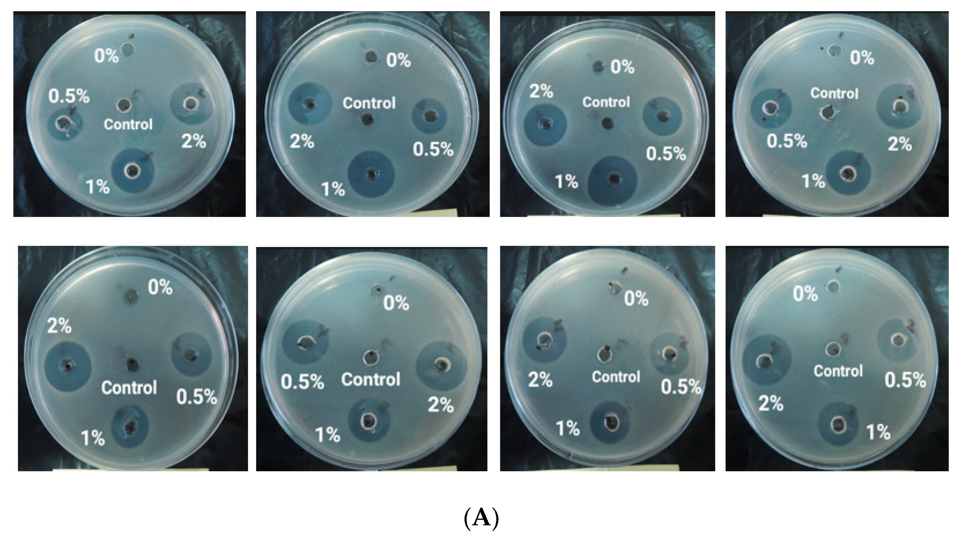 Materials 15 04641 g010a