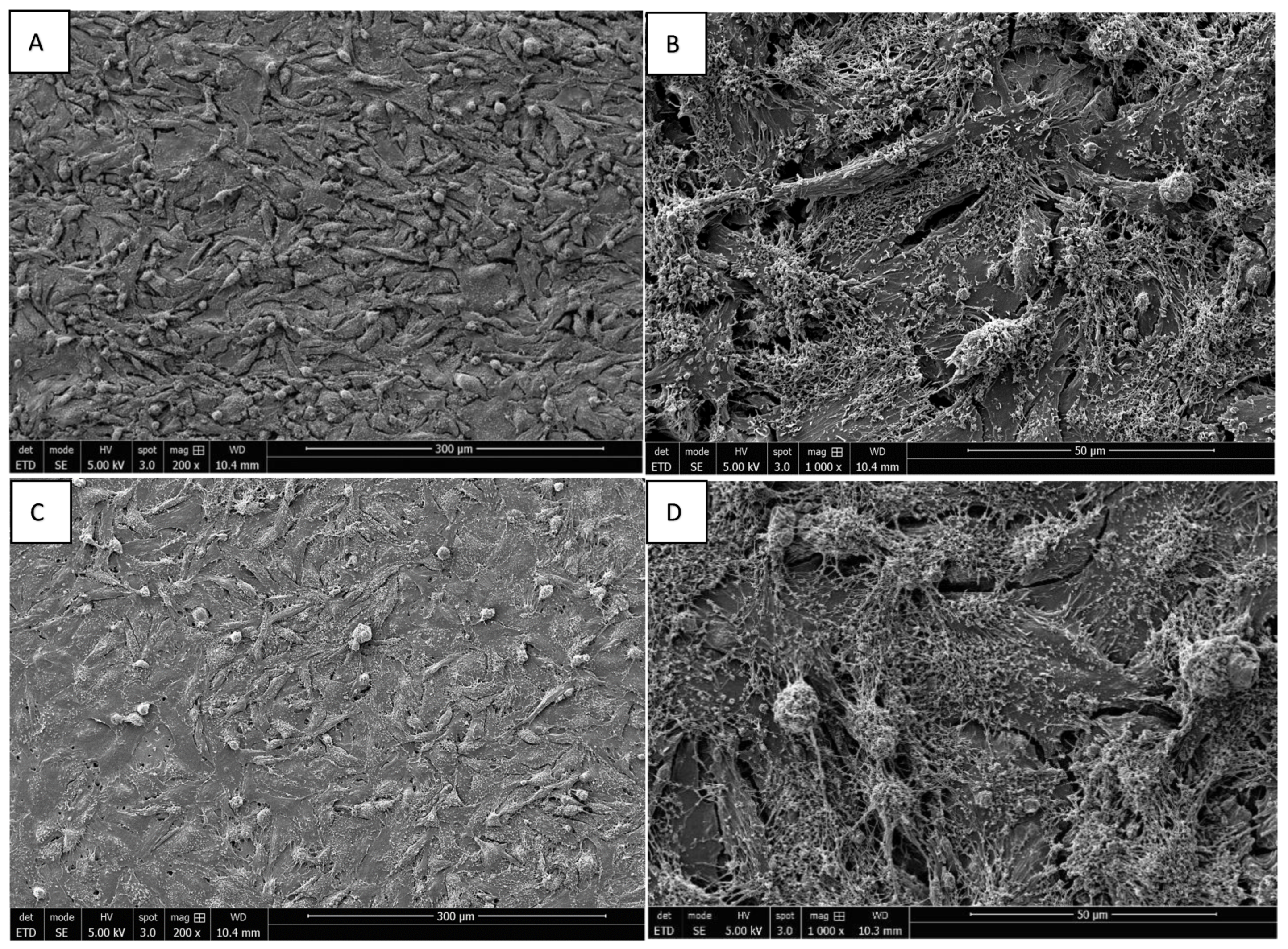 Materials 15 04655 g006 Materials 15 04655 g006