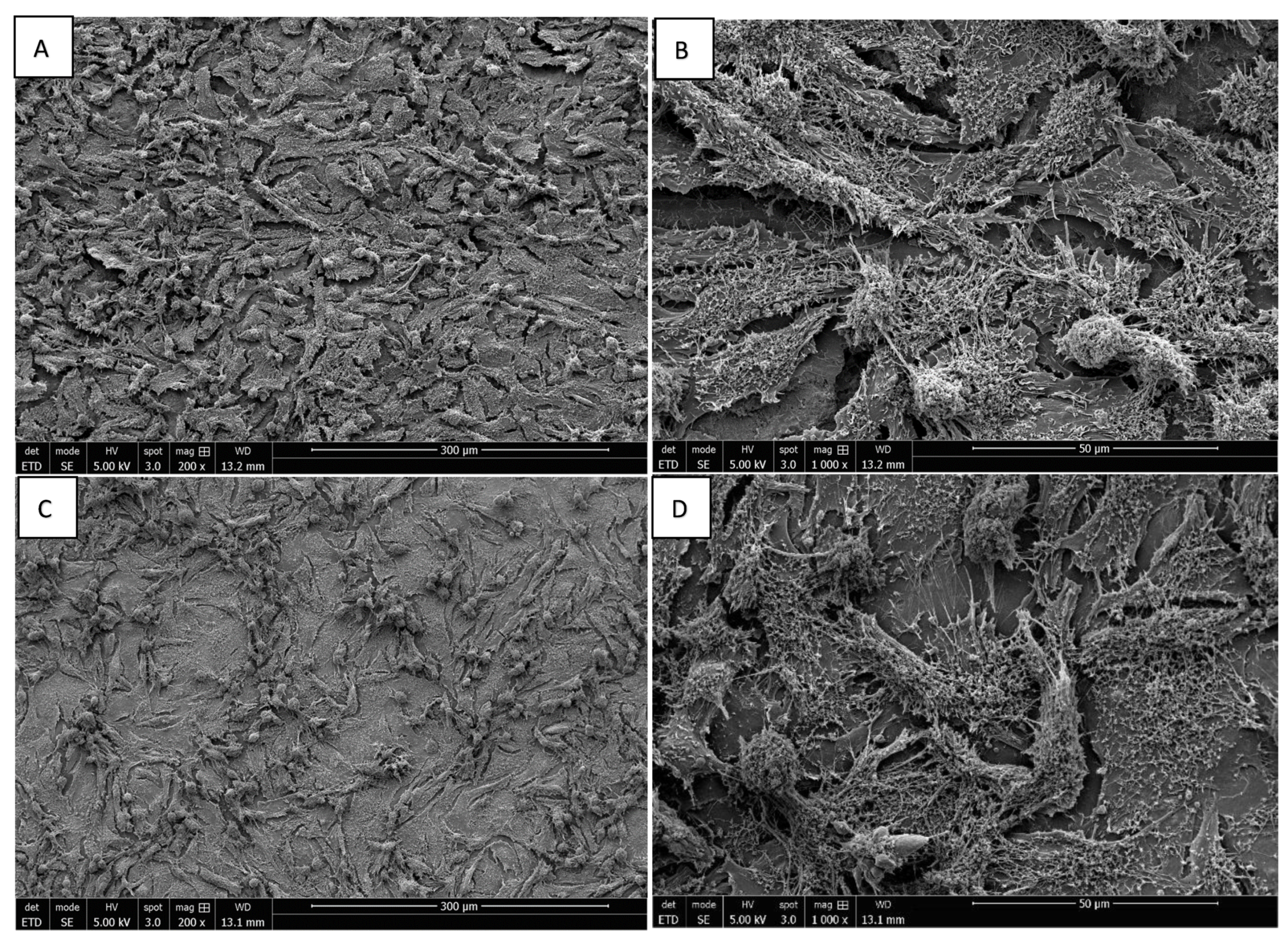 Materials 15 04655 g007 Materials 15 04655 g007