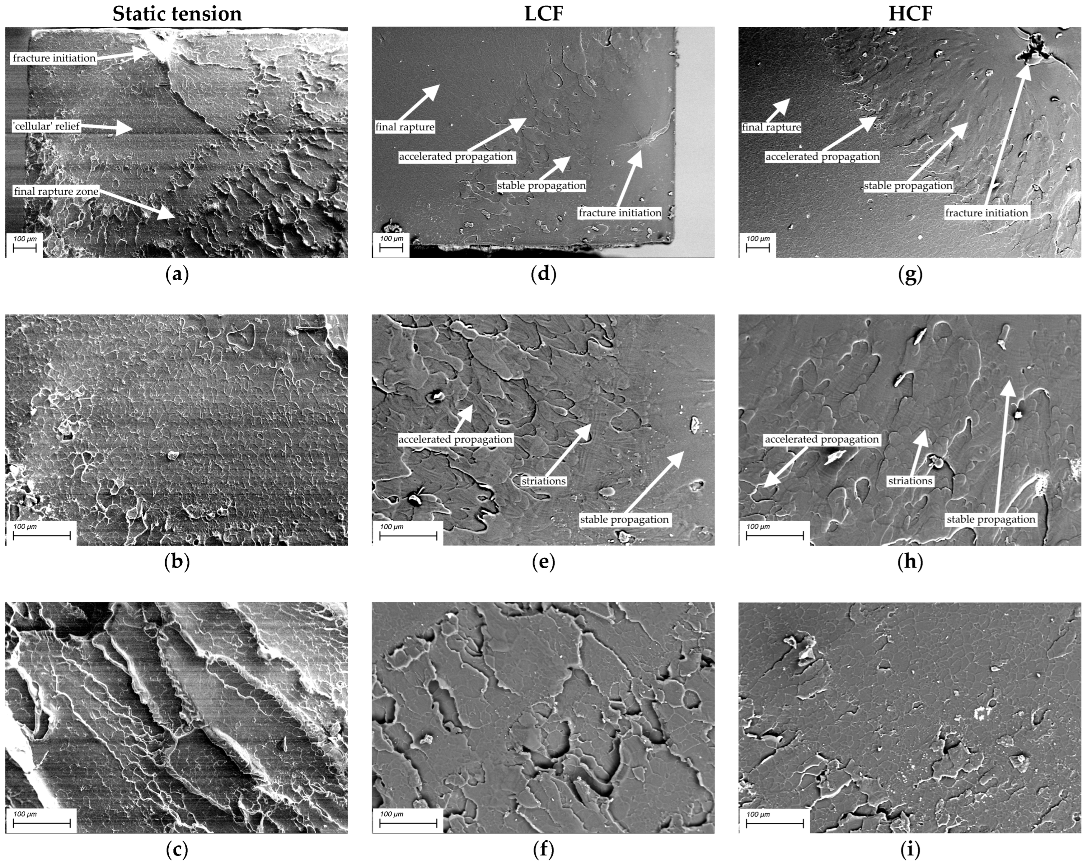 Materials 15 04656 g008
