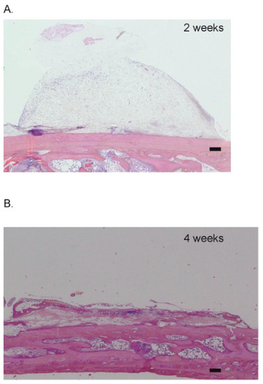 Materials 15 04703 g0a1 550