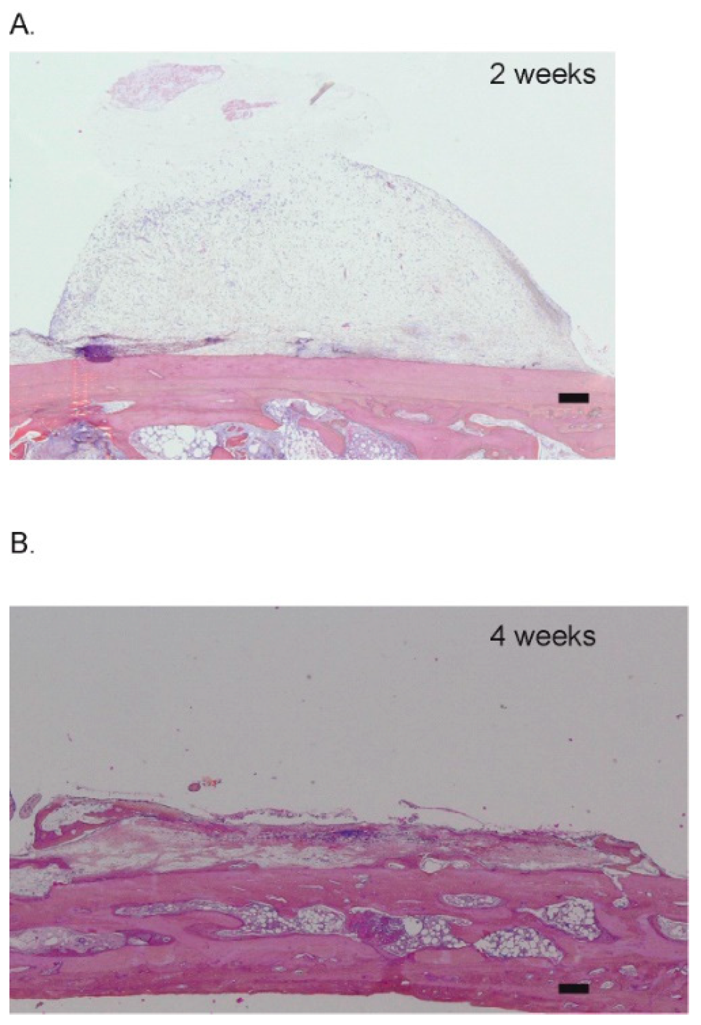 Materials 15 04703 g0a1