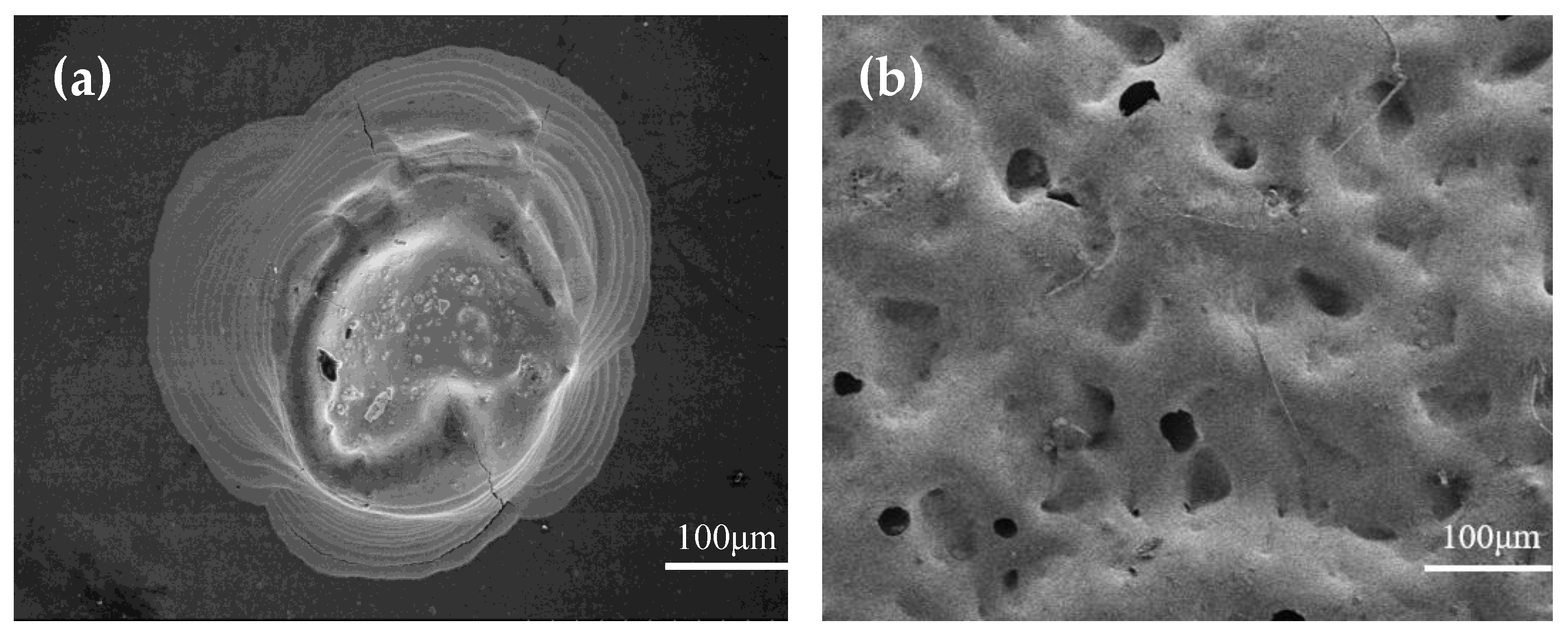 Materials 15 04708 g005