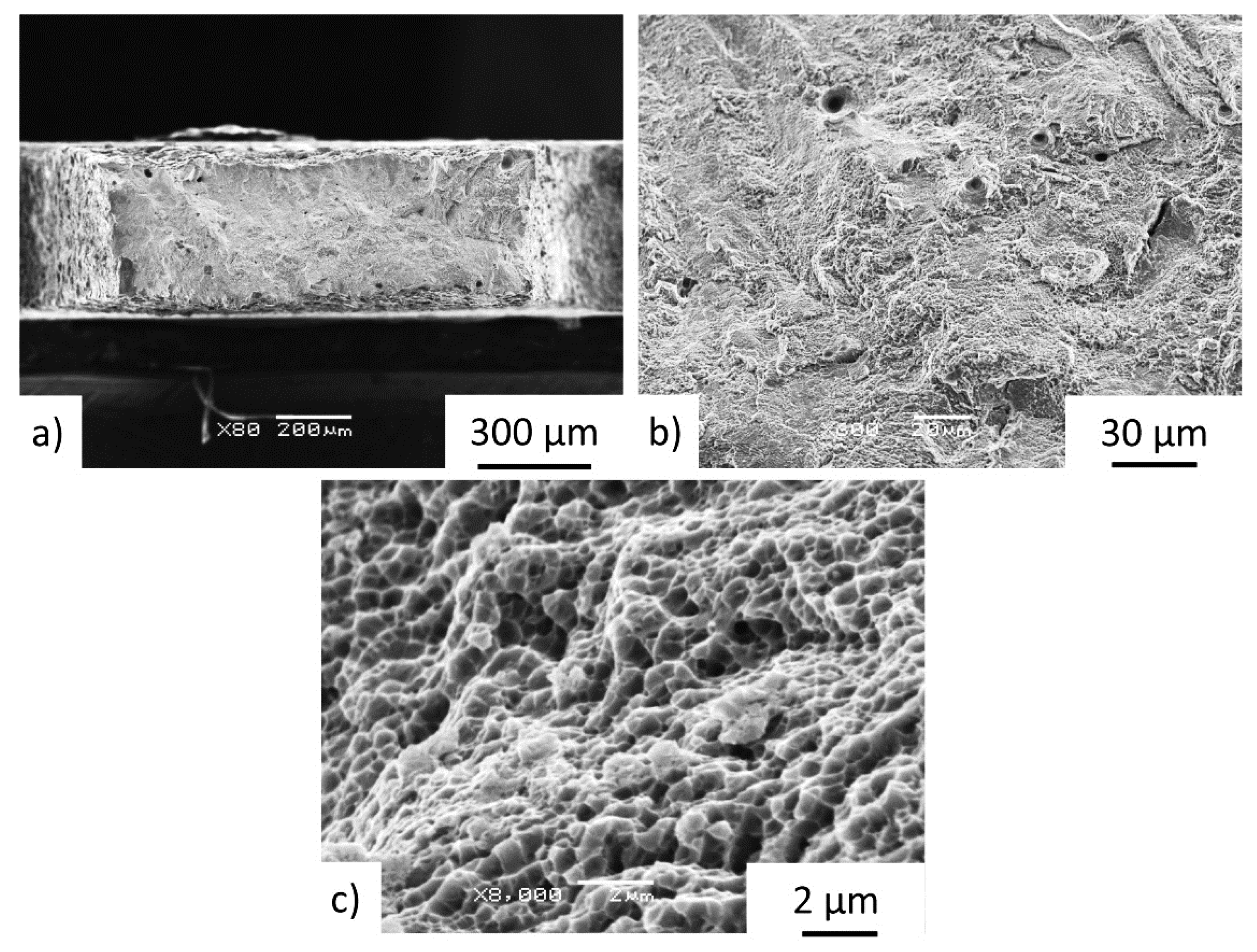 Materials 15 04724 g017