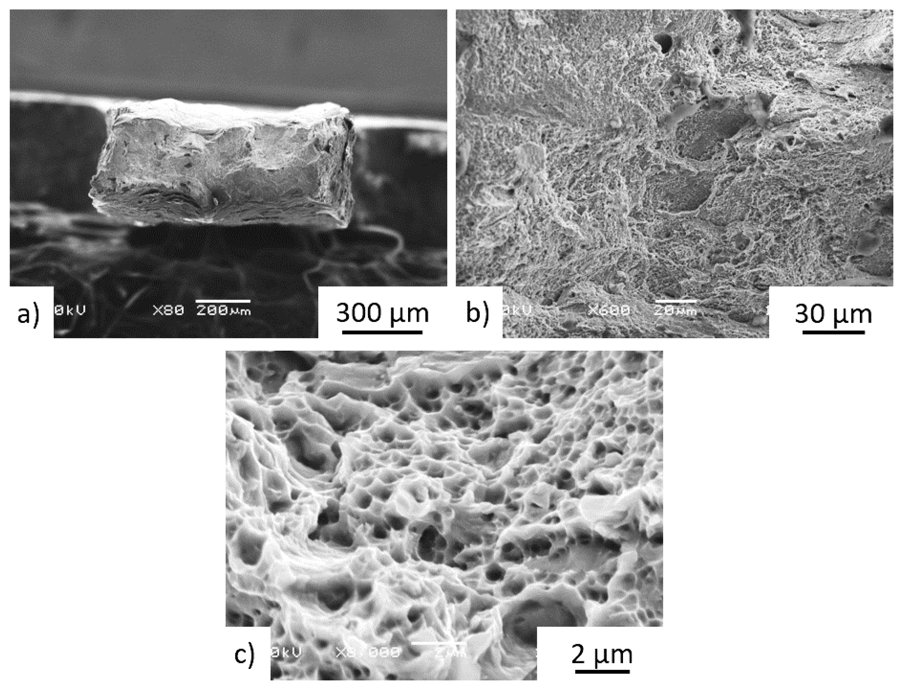 Materials 15 04724 g019