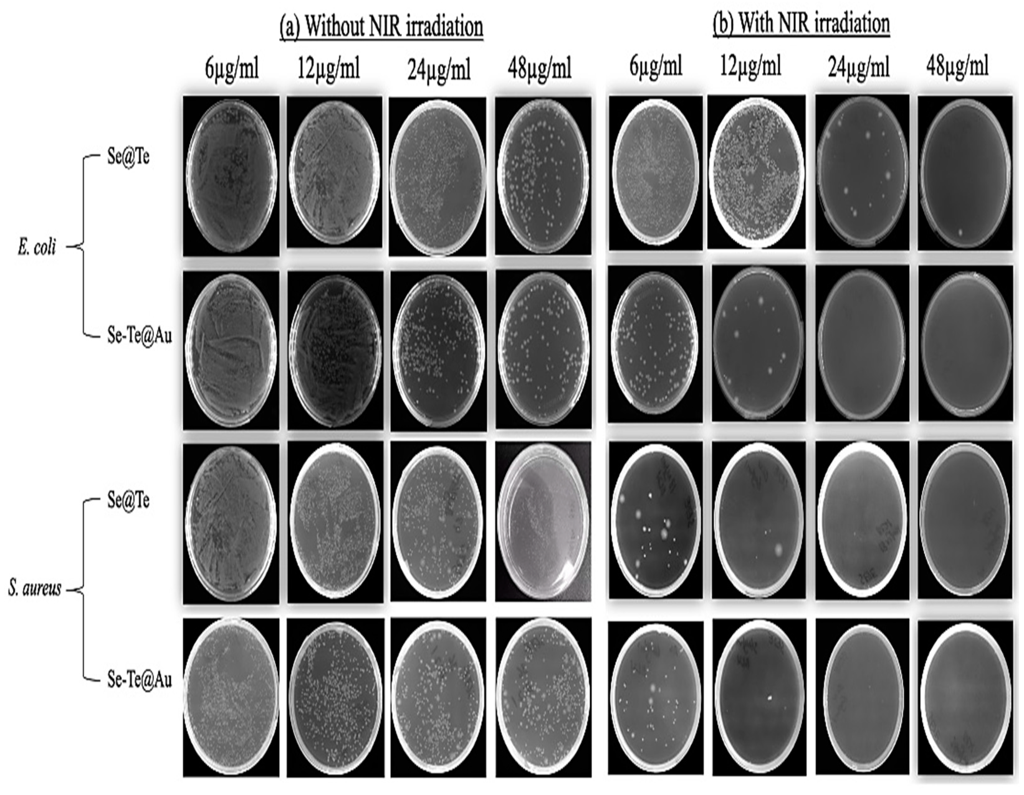 Materials 15 04813 g004
