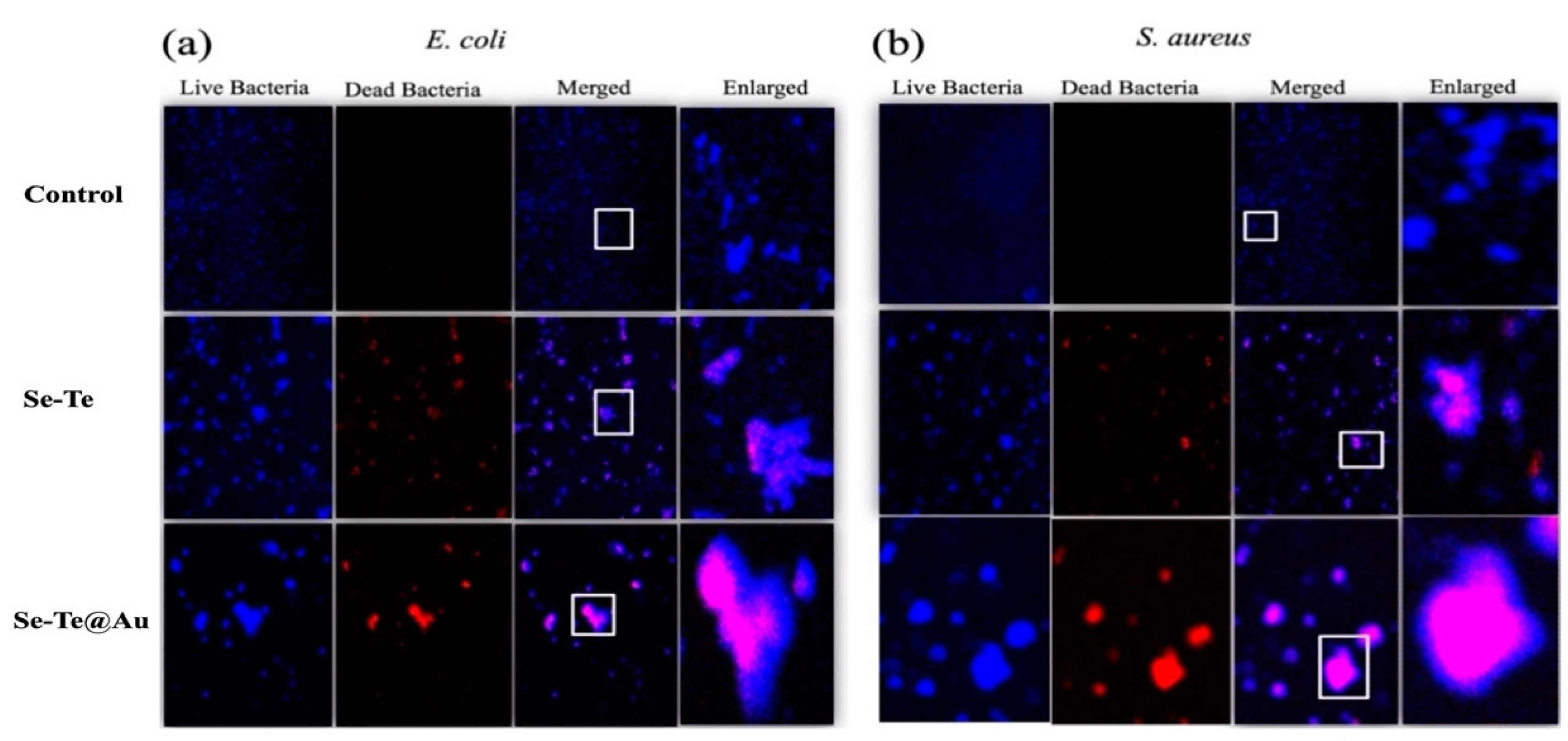 Materials 15 04813 g006