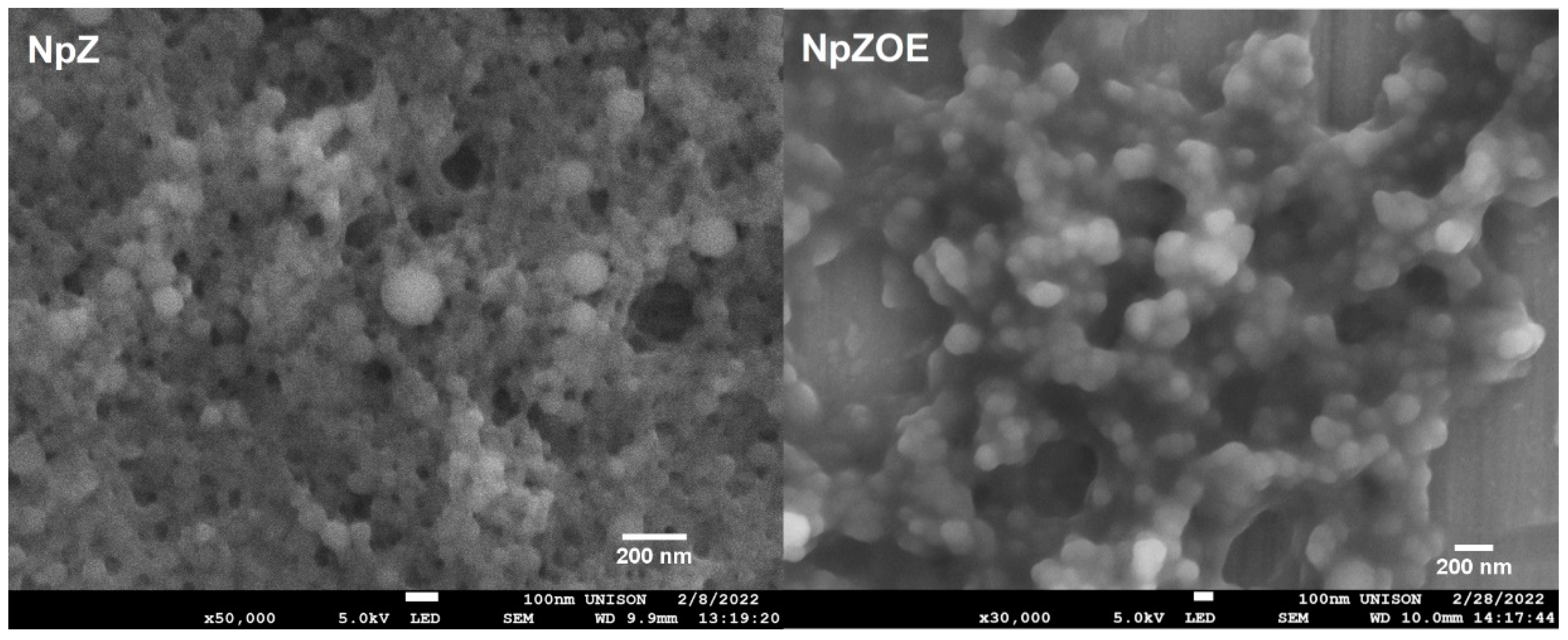 Materials 15 04838 g002