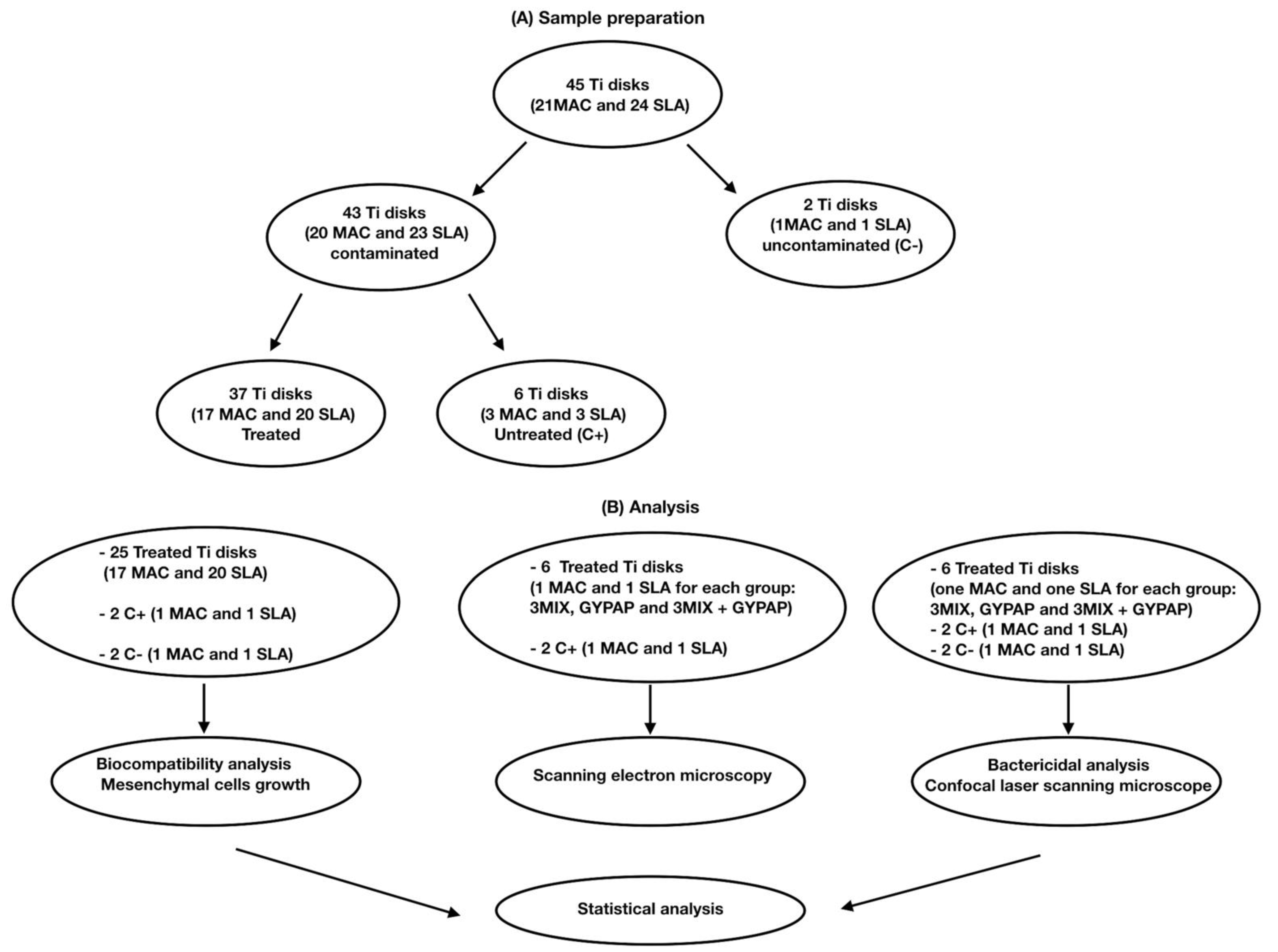 Materials 15 04850 g001