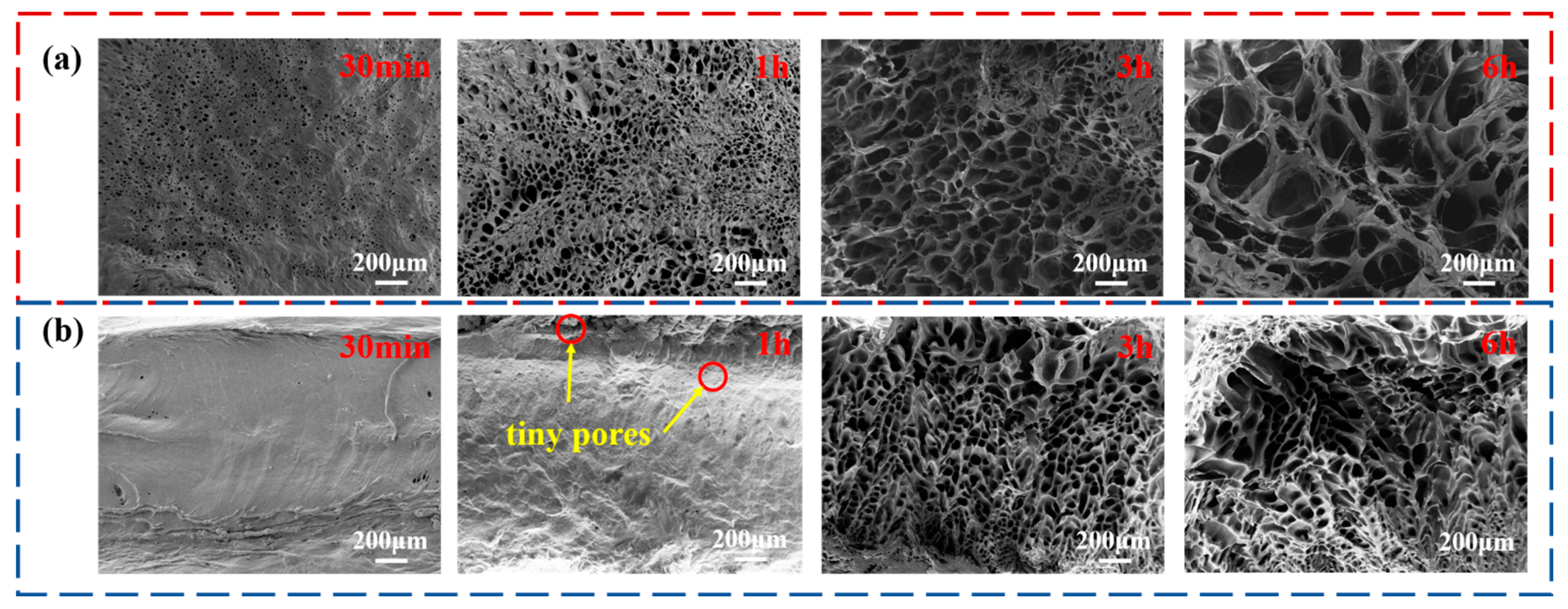 Materials 15 04959 g008