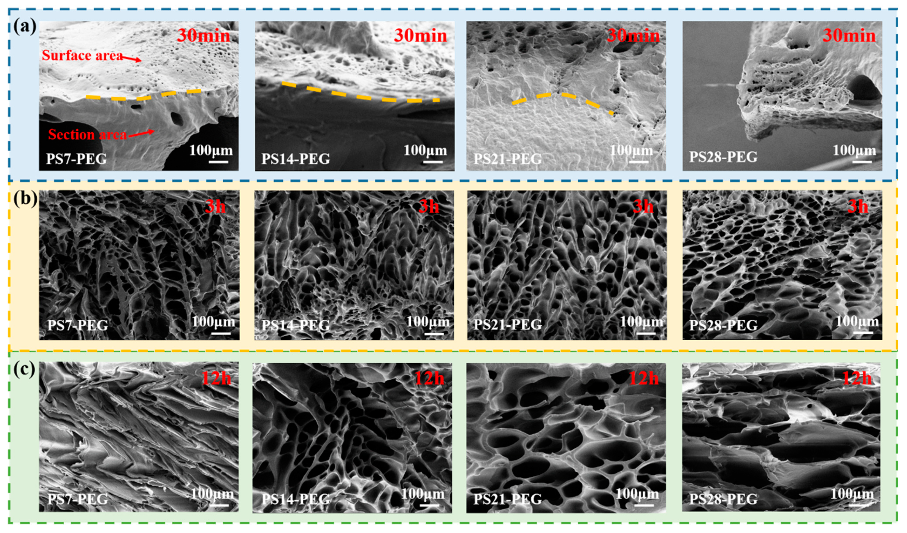 Materials 15 04959 g011