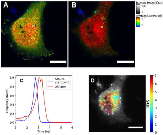 Materials 15 04962 g003 550