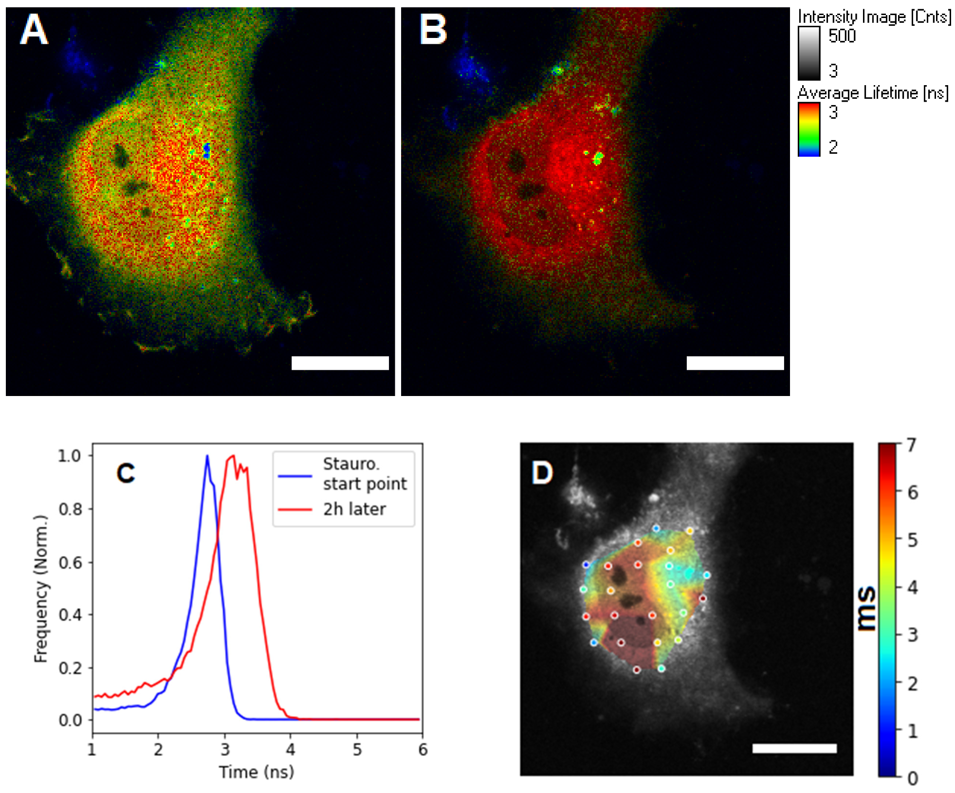 Materials 15 04962 g003
