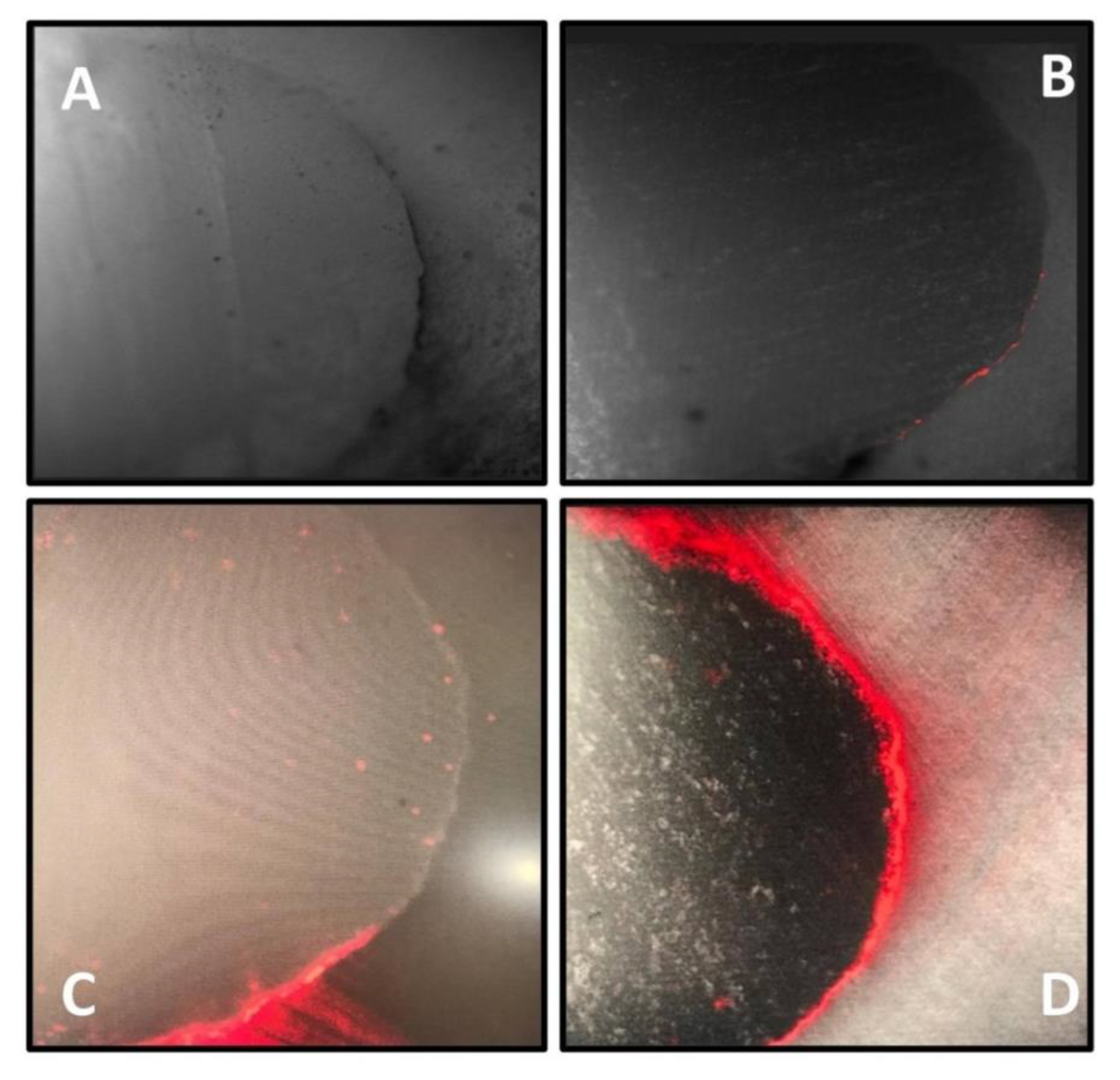 Materials 15 04963 g005