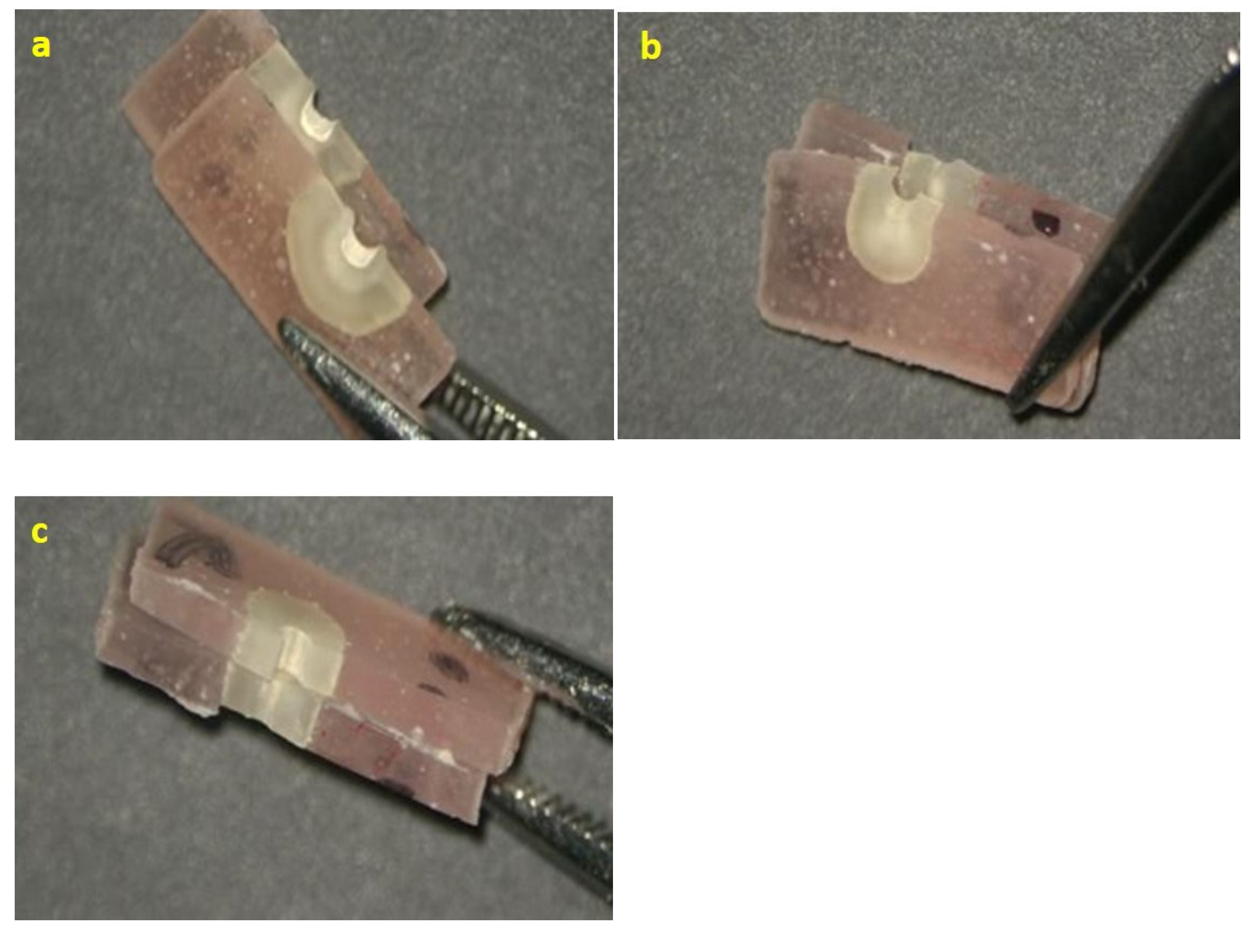 Materials 15 04966 g004