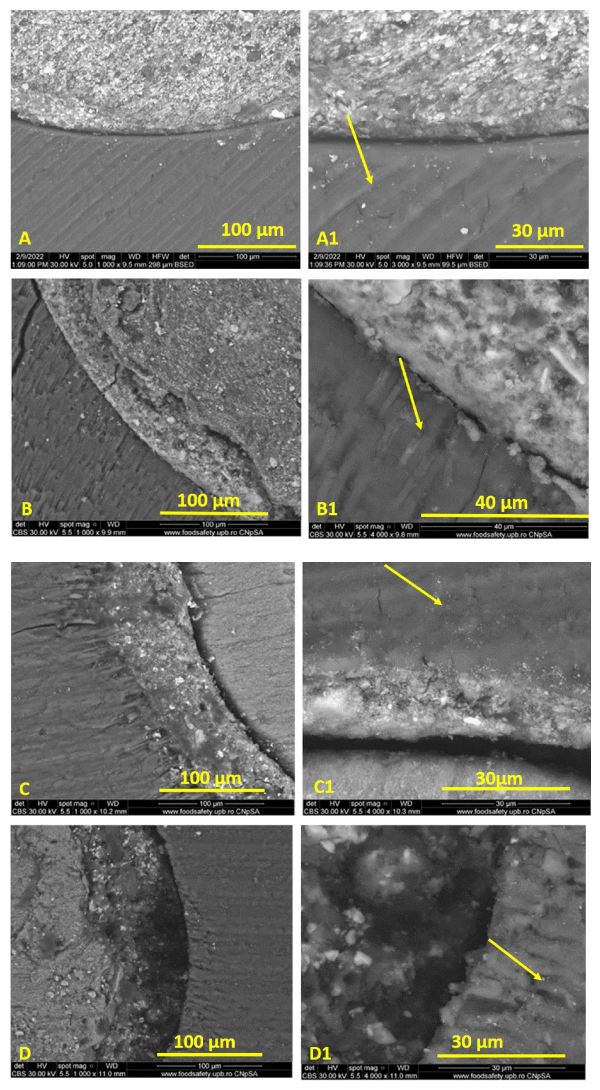 Materials 15 04966 g006