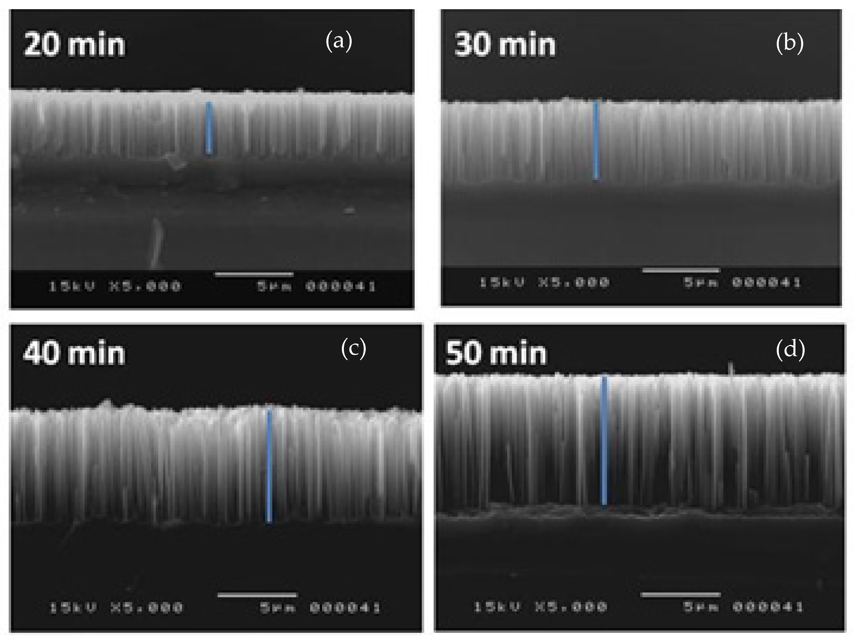 Materials 15 04970 g003