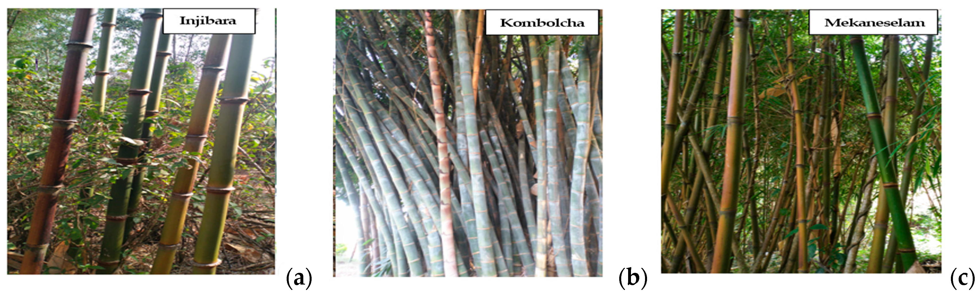 Materials 15 05016 g001