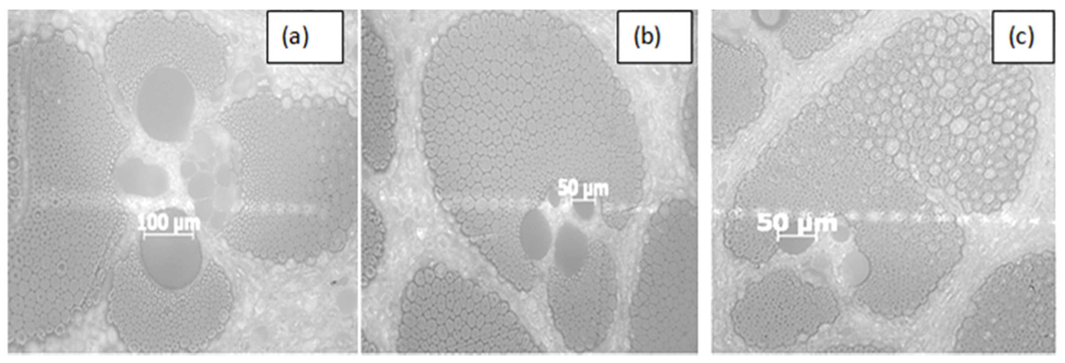 Materials 15 05016 g005