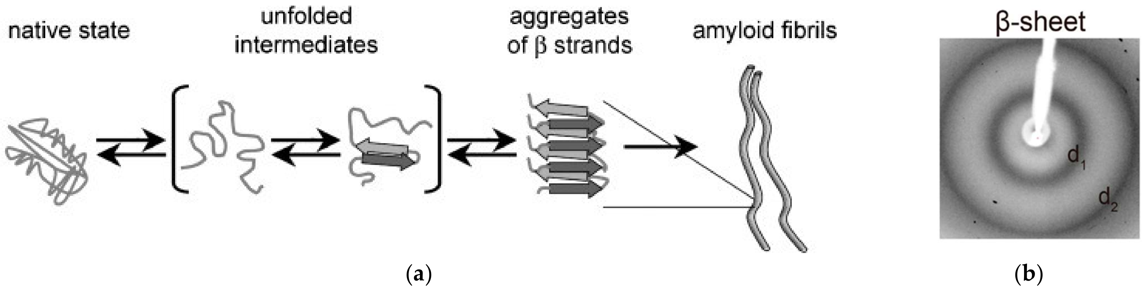 Materials 15 05355 g001