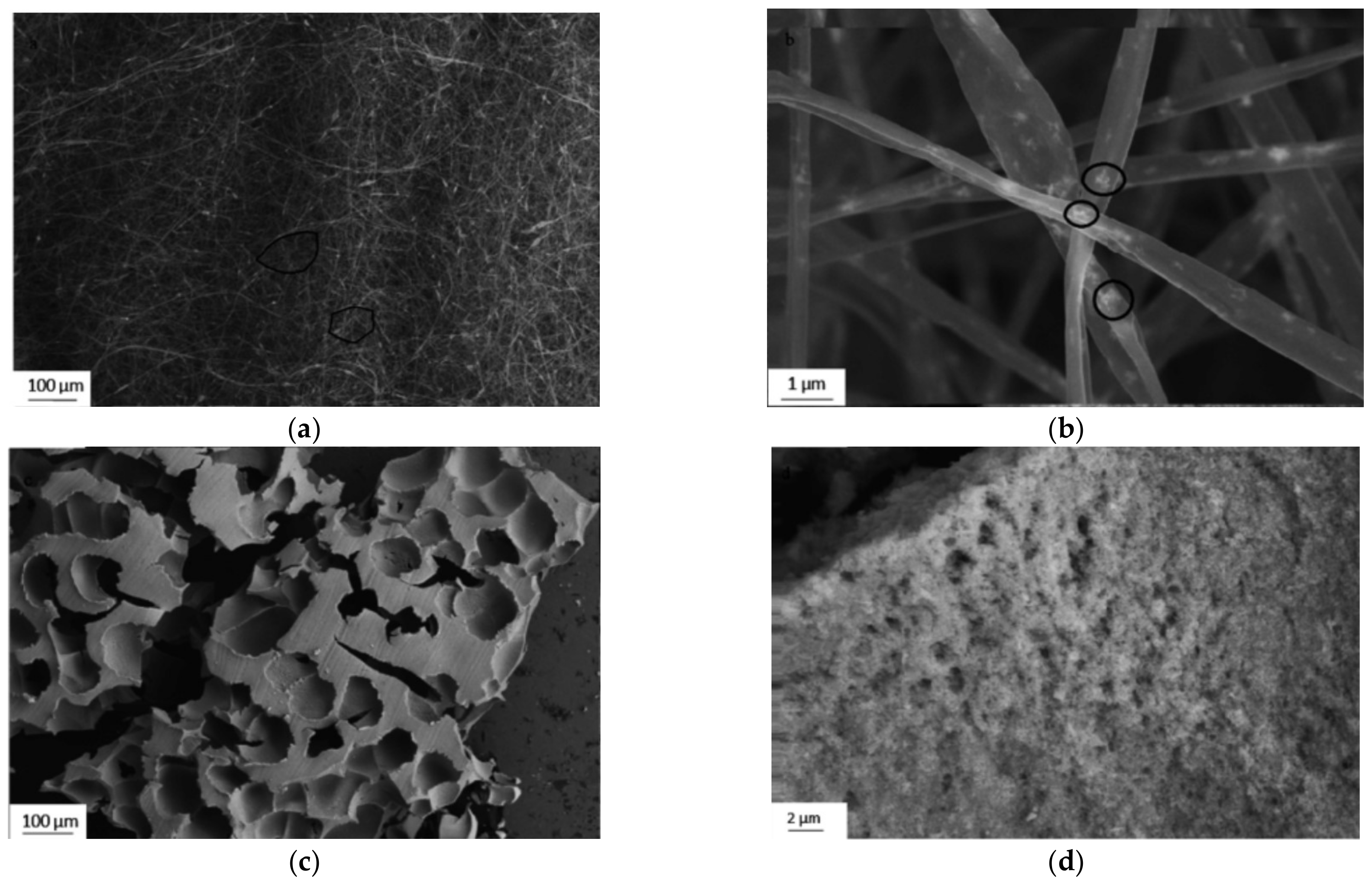 Materials 15 05355 g008