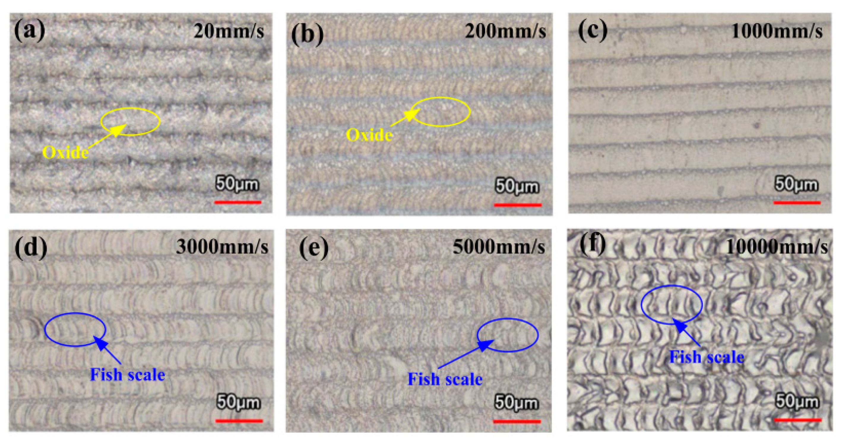 Materials 15 05469 g006