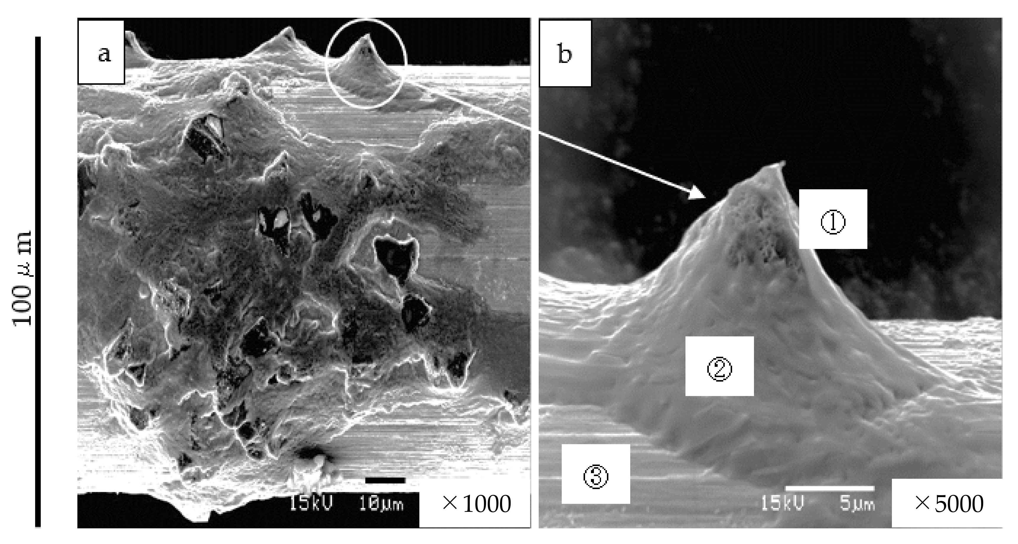 Materials 15 05524 g003