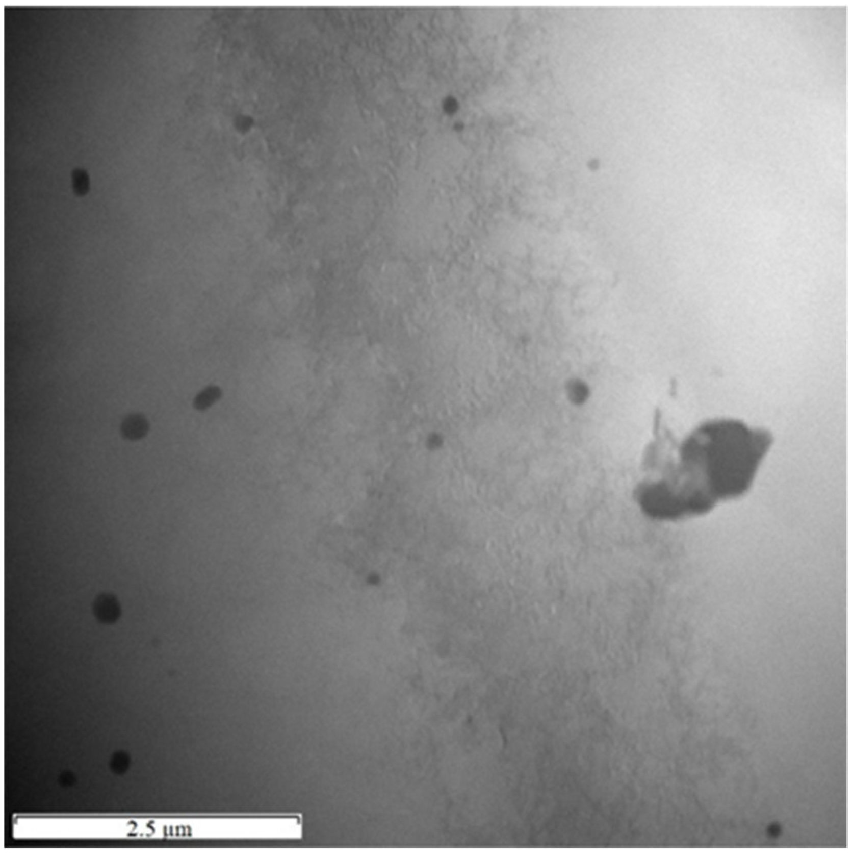 Materials 15 05541 g009