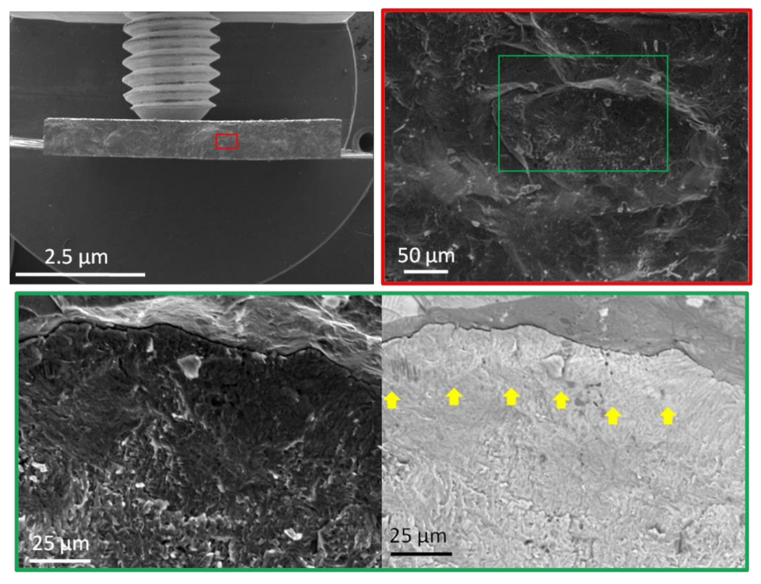 Materials 15 05560 g013