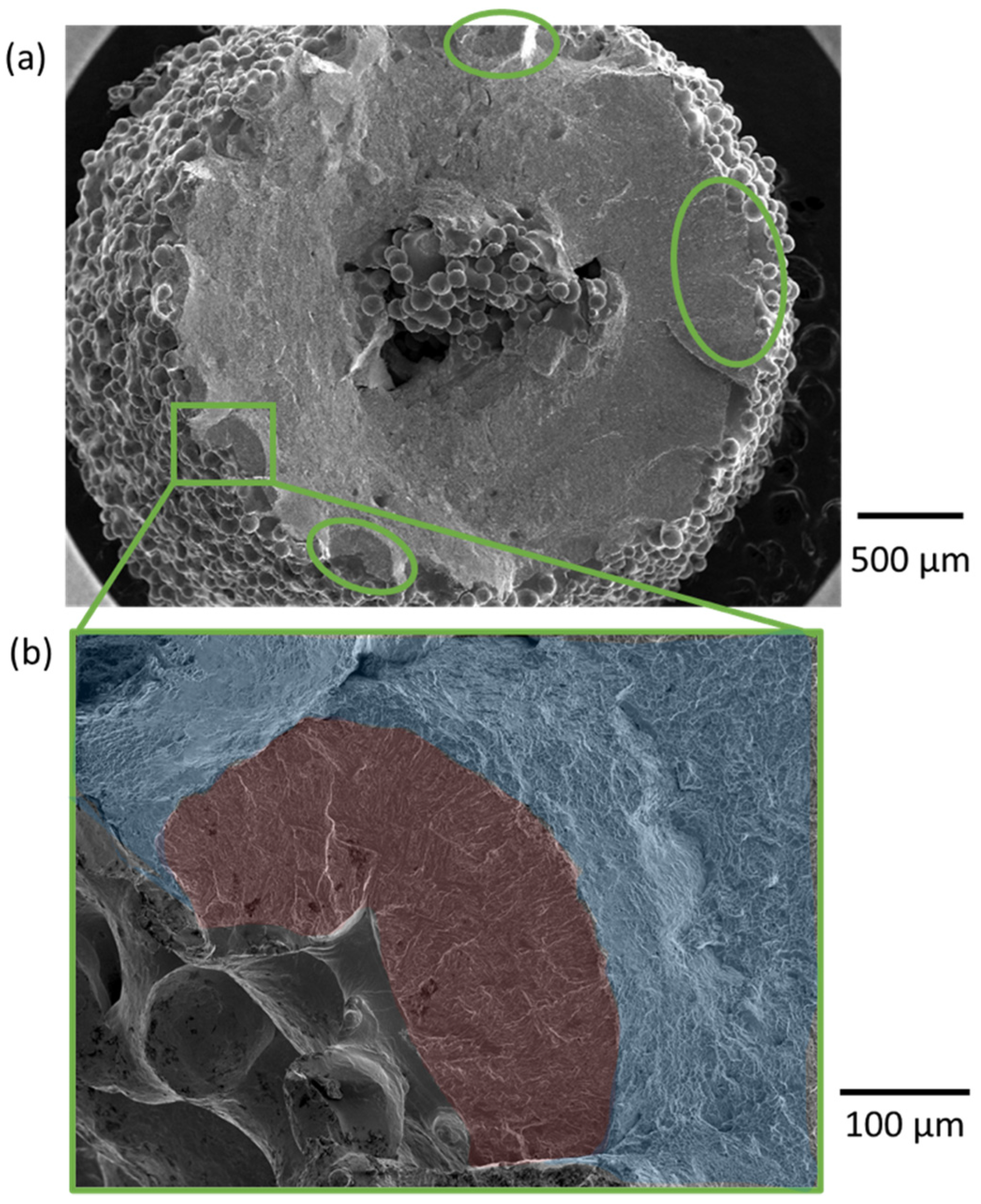 Materials 15 05617 g010
