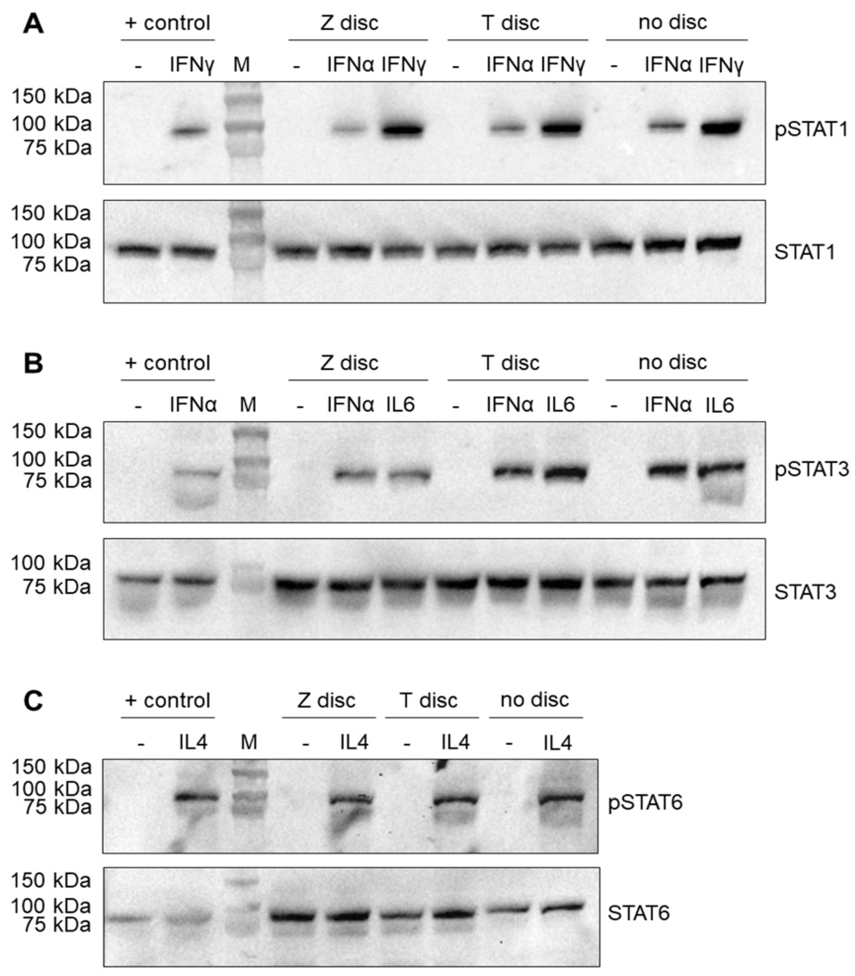 Materials 15 05621 g001