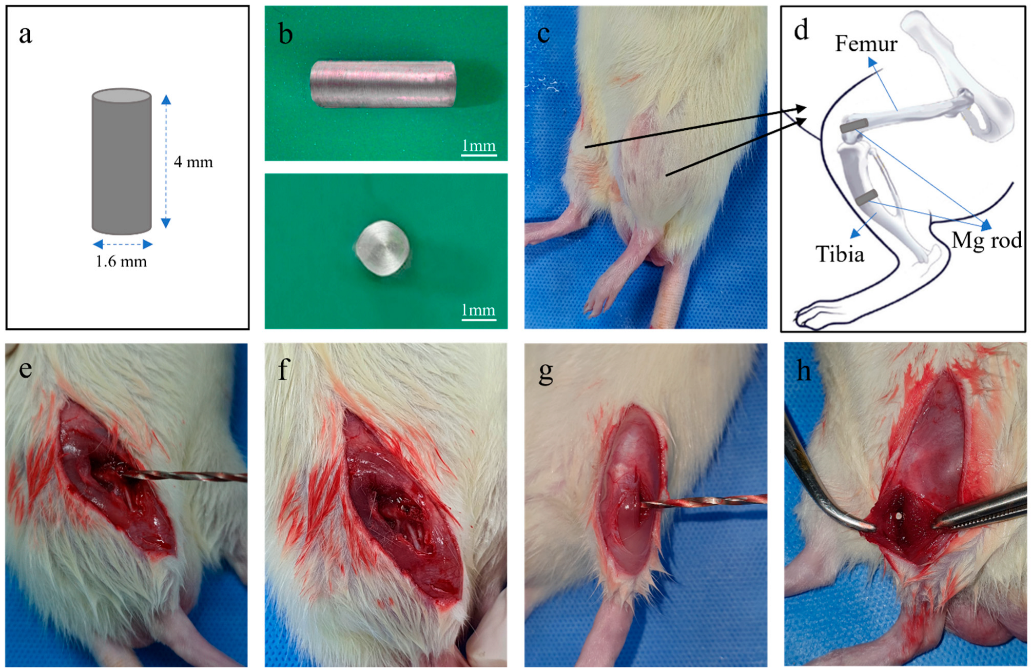 Materials 15 05630 g001