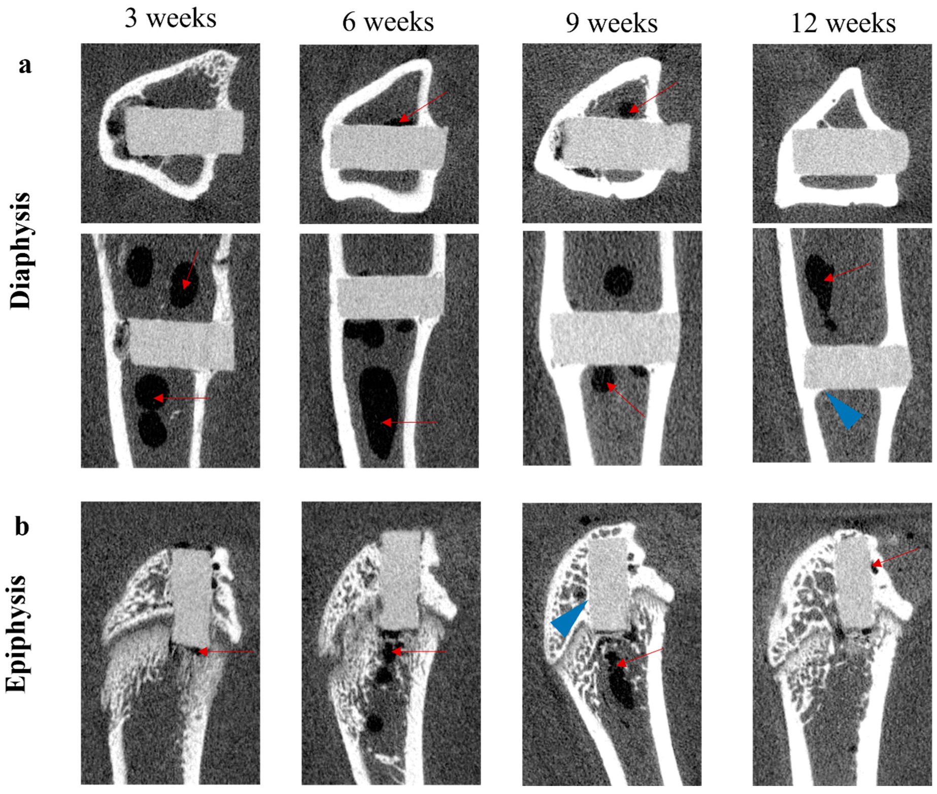 Materials 15 05630 g003