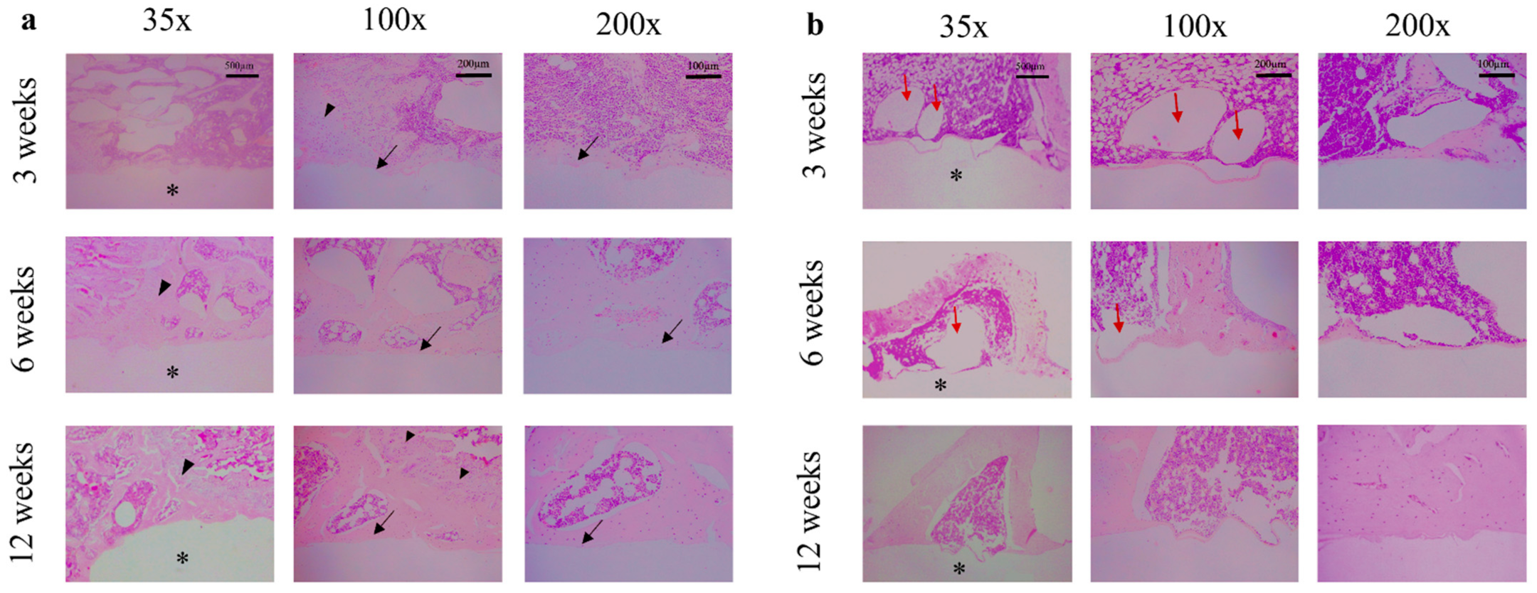 Materials 15 05630 g006