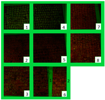 Materials 15 05671 i009